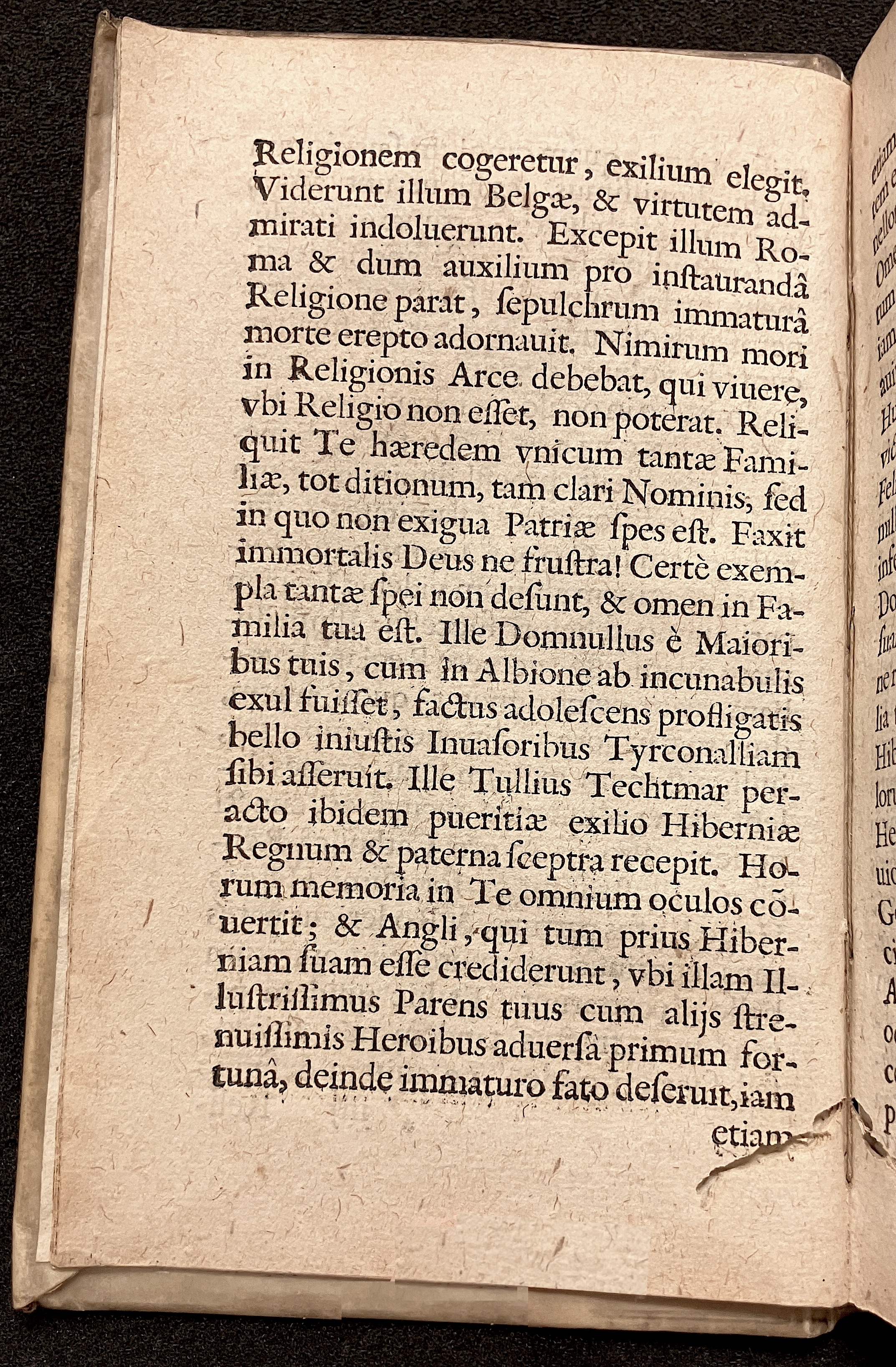 VernulaeusConradinusCrispus1628a08