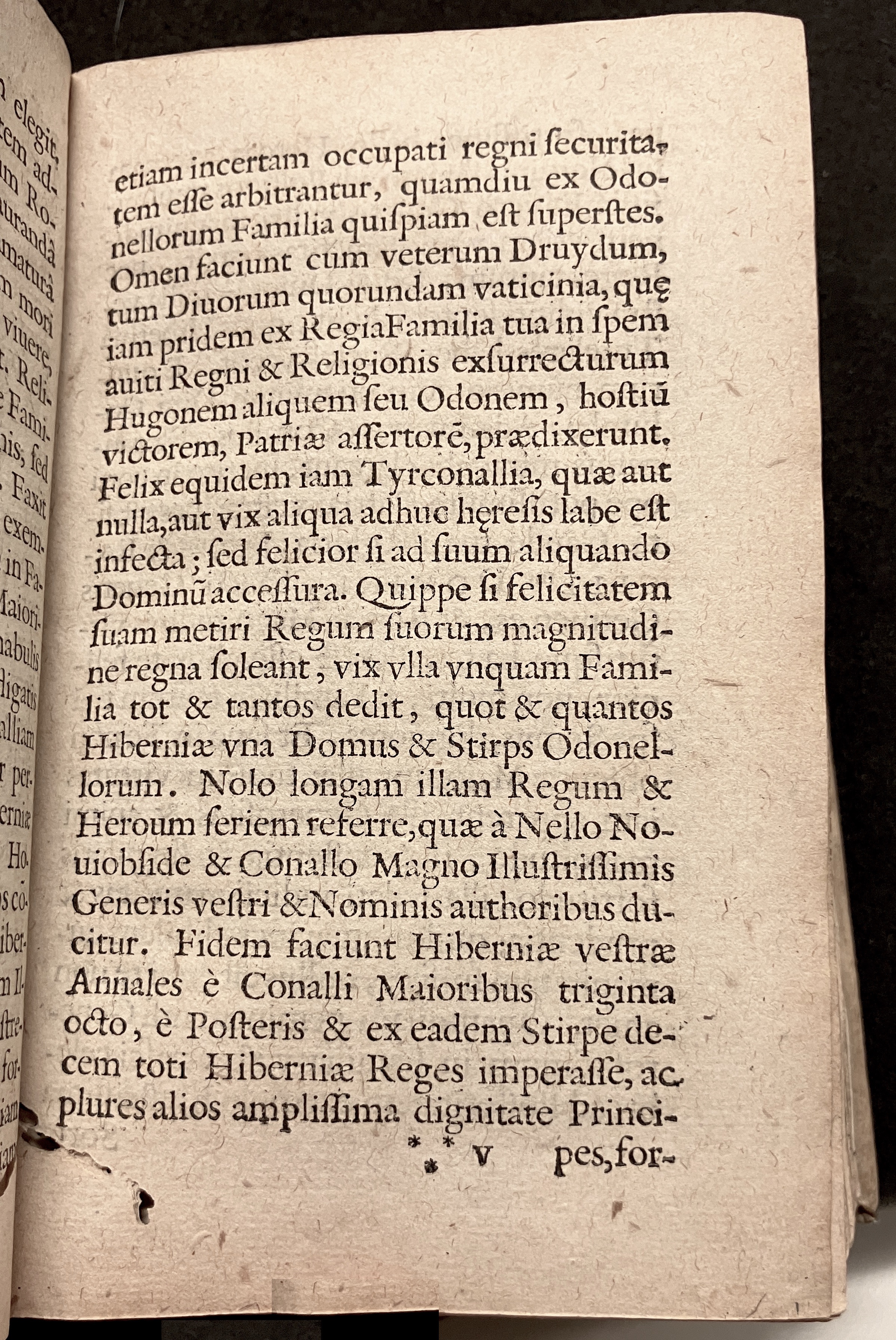 VernulaeusConradinusCrispus1628a09