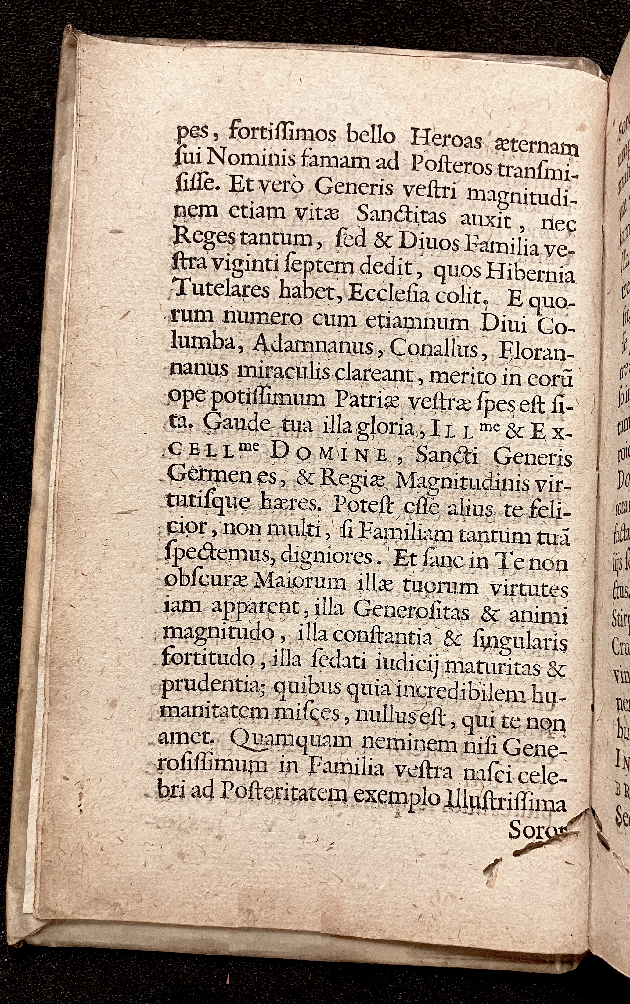 VernulaeusConradinusCrispus1628a10