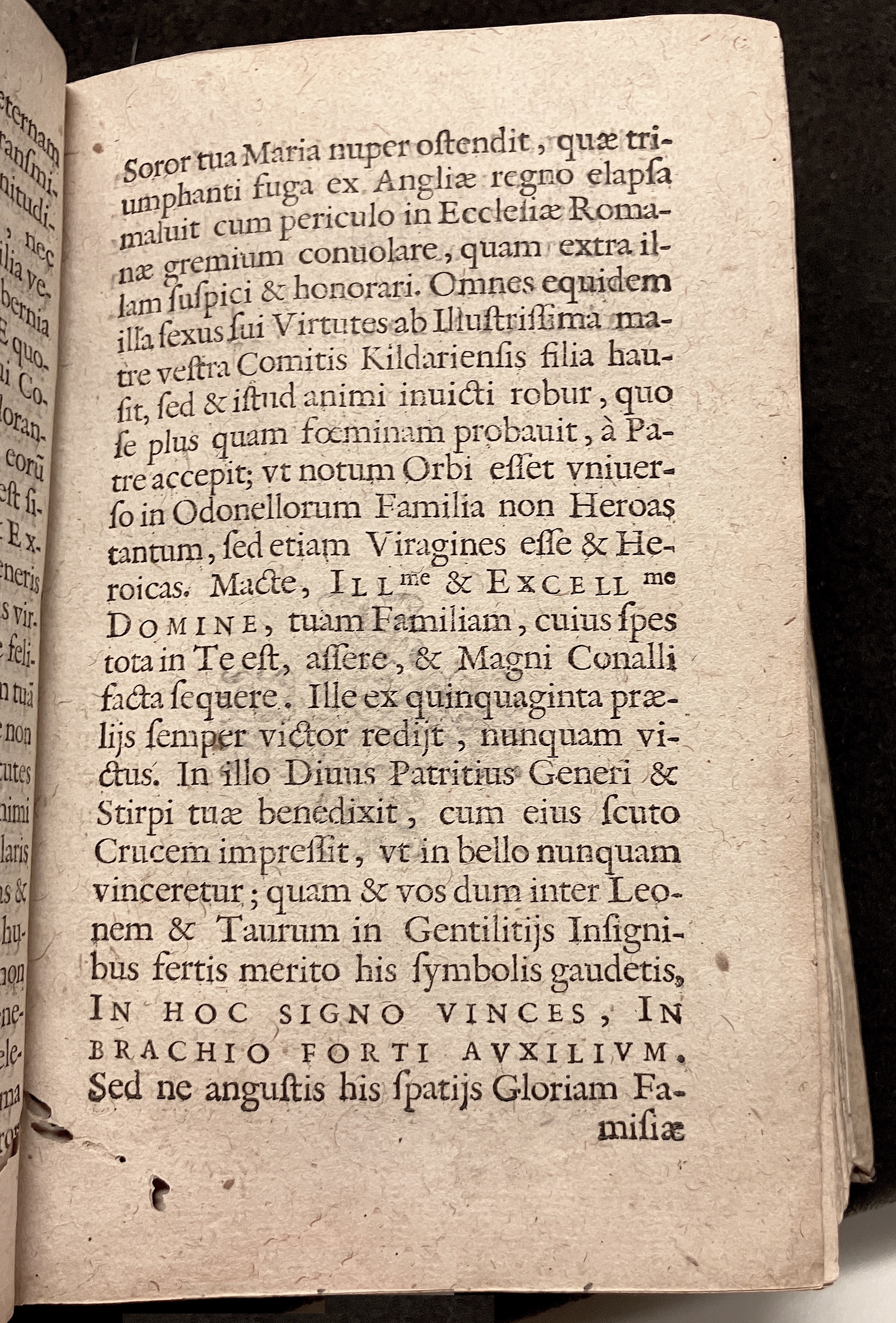 VernulaeusConradinusCrispus1628a11