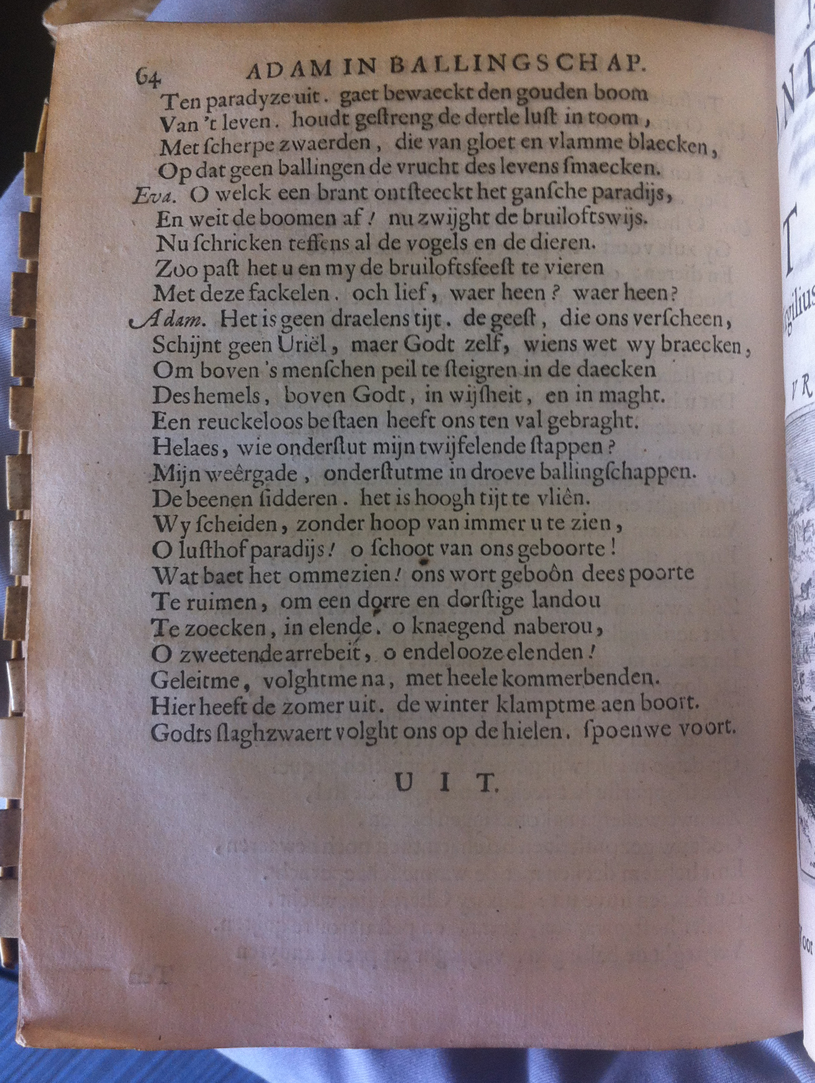 VondelAdam1664p64.jpg