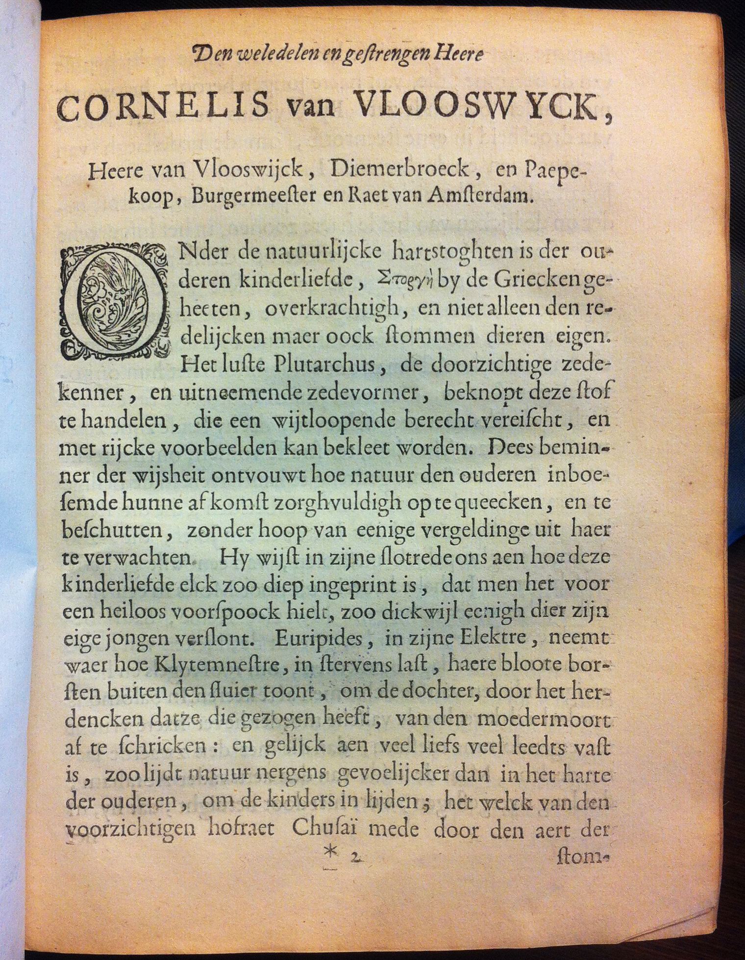 VondelDavidHerstelt1660a03