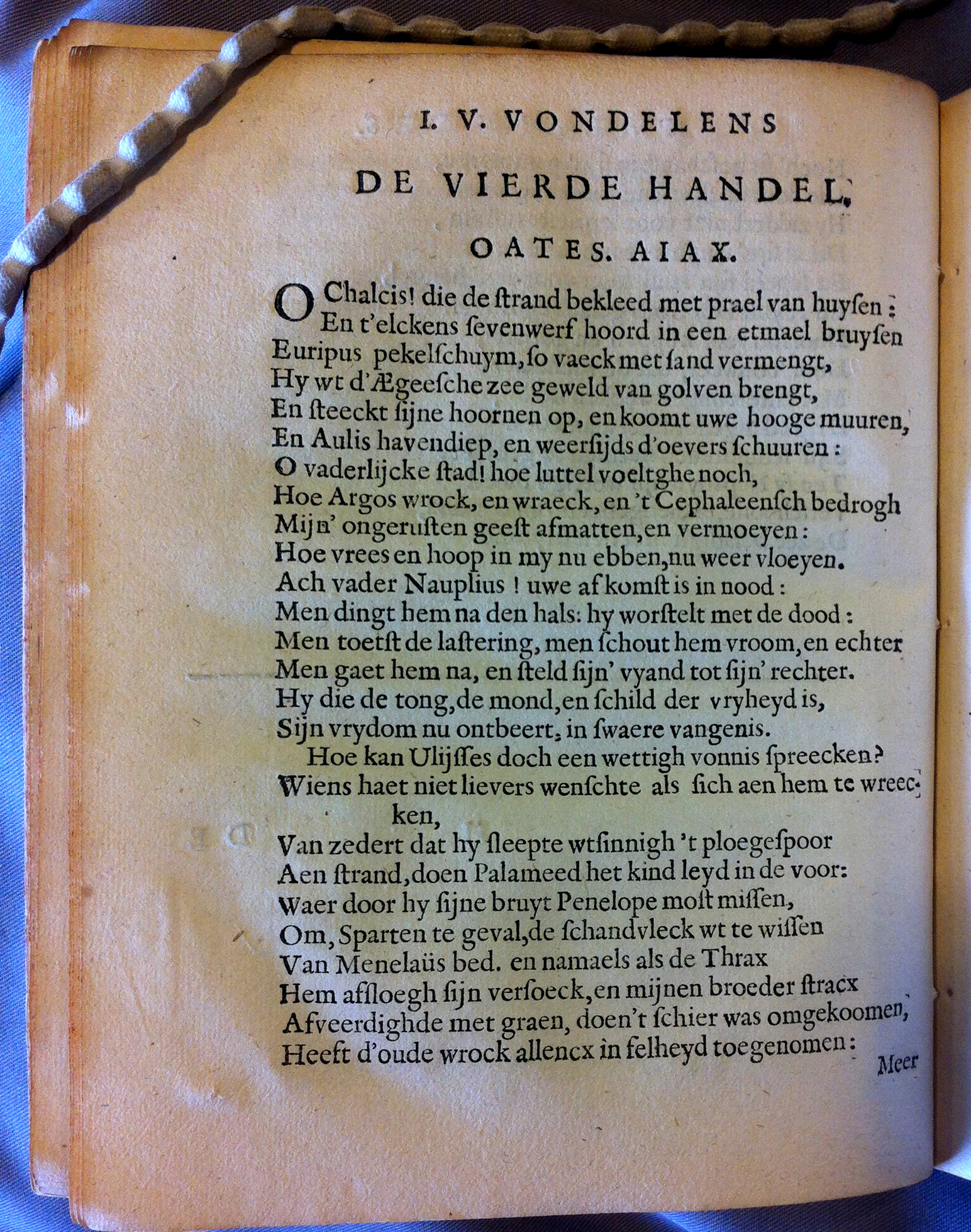 VondelPalamedes1626p50.jpg