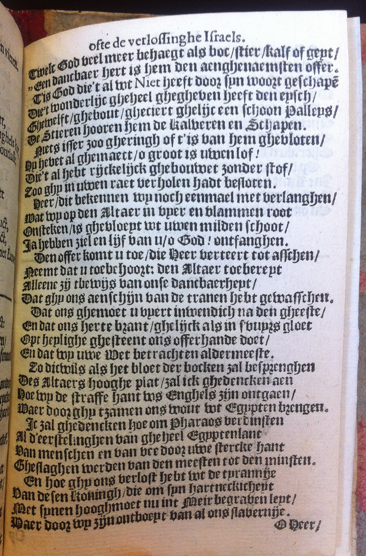 VondelPascha1612p79.jpg