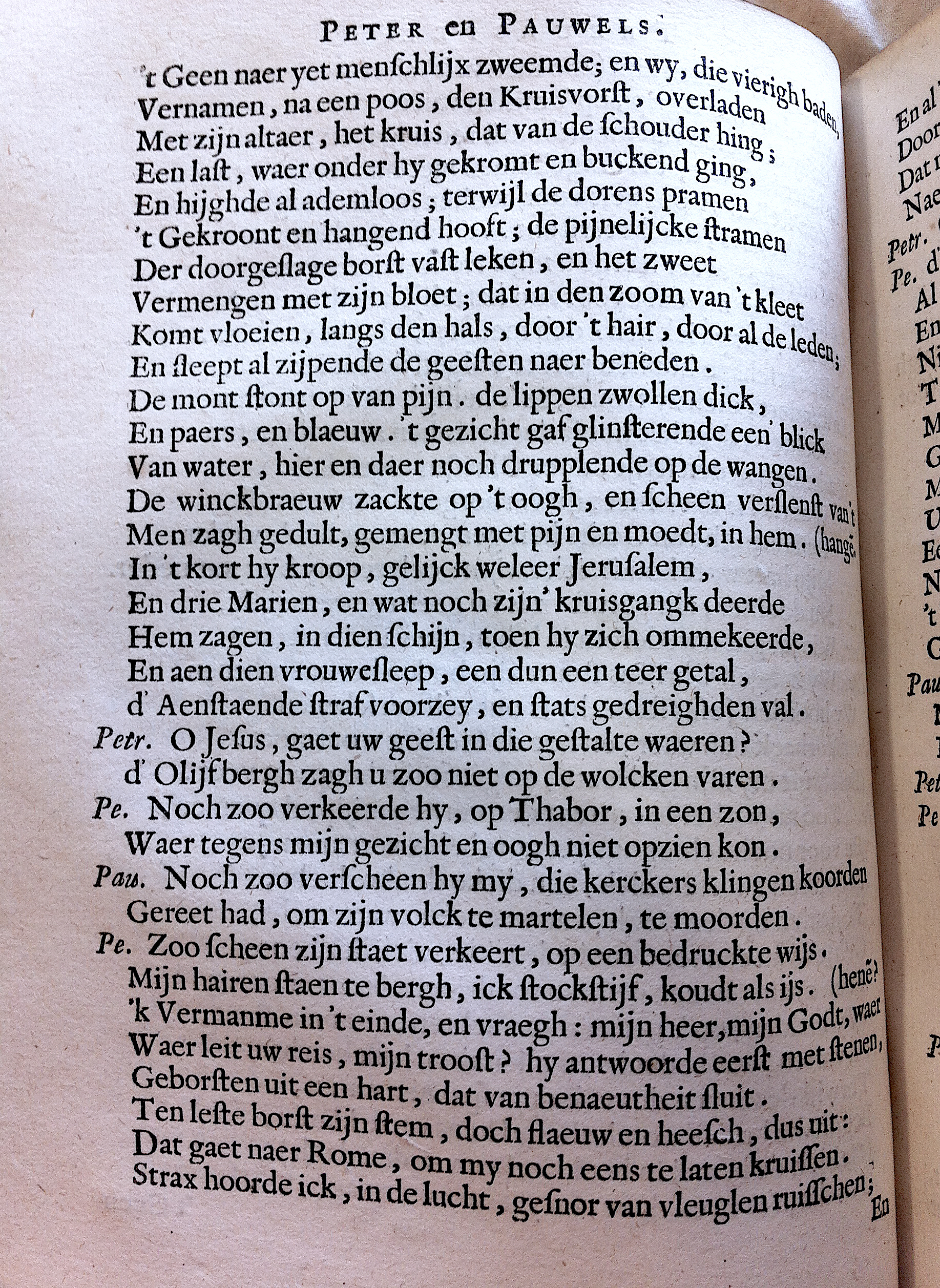 VondelPeterPauwels164140.jpg