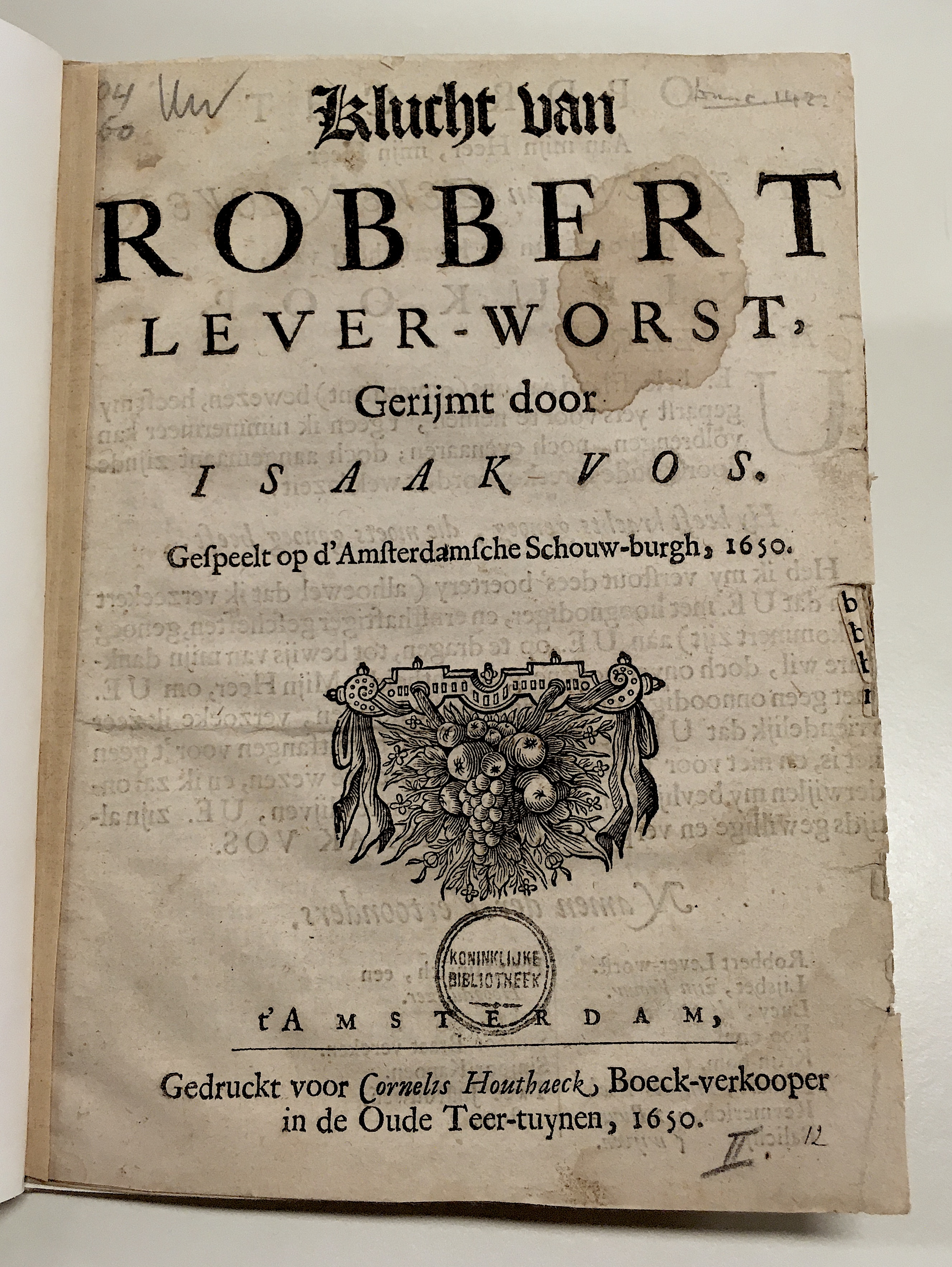 VosRobbert165001.jpg