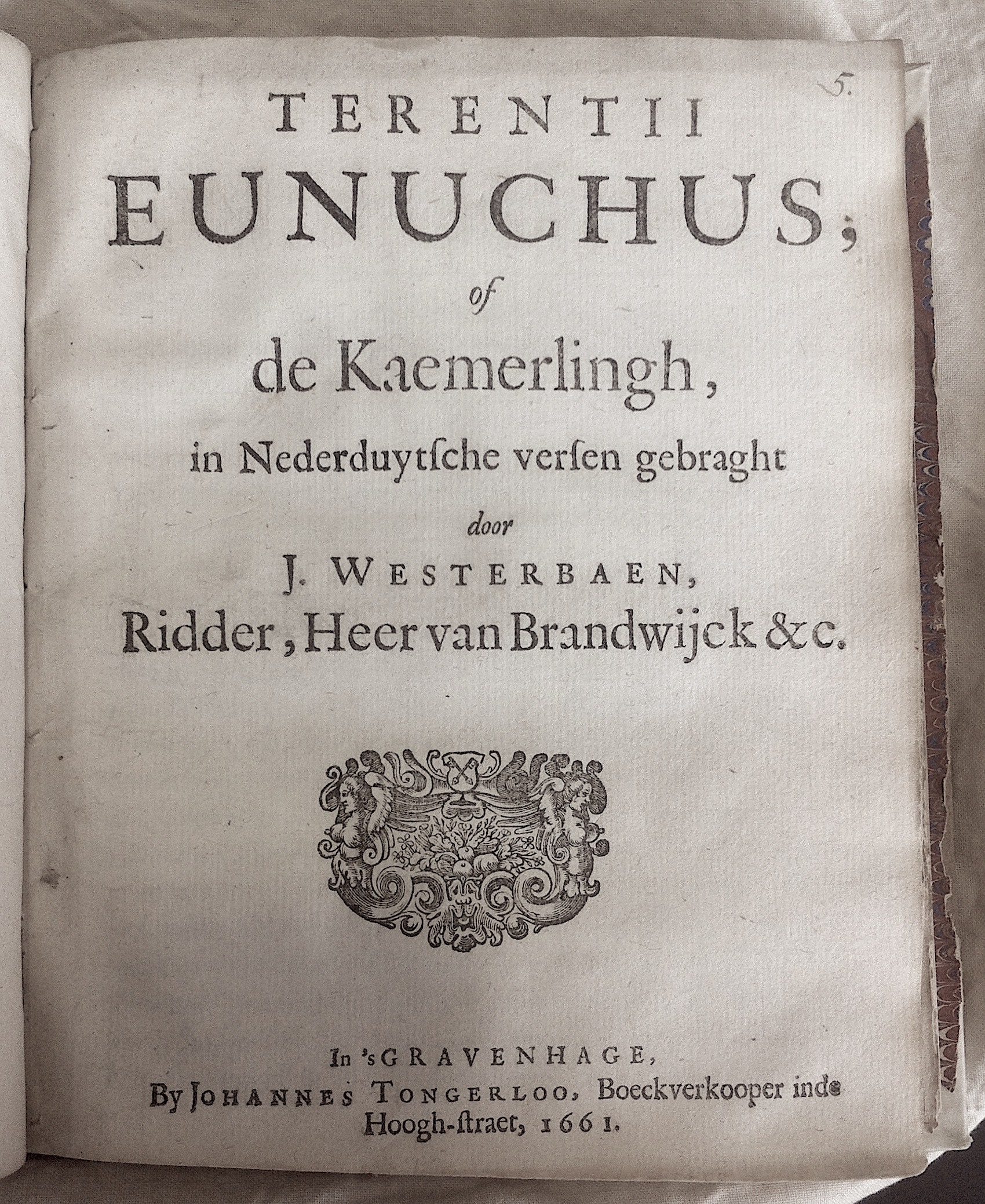 WesterbaenEunuchus1661p01.jpg