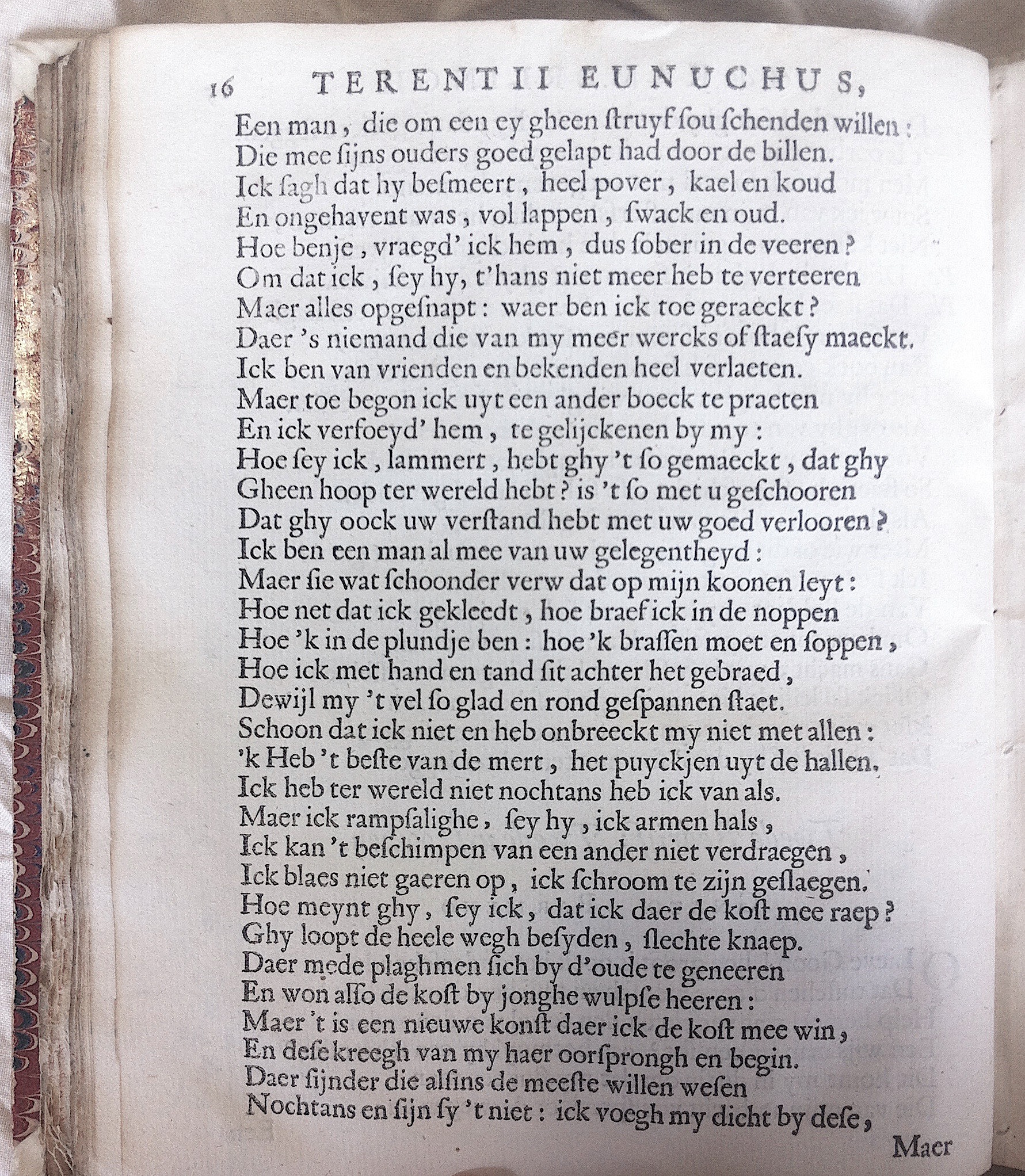 WesterbaenEunuchus1661p16.jpg