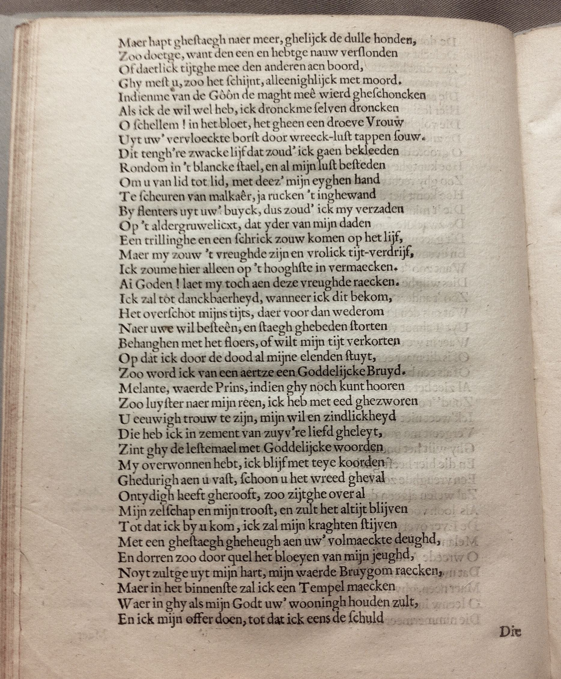 ZoetOlimpia164032