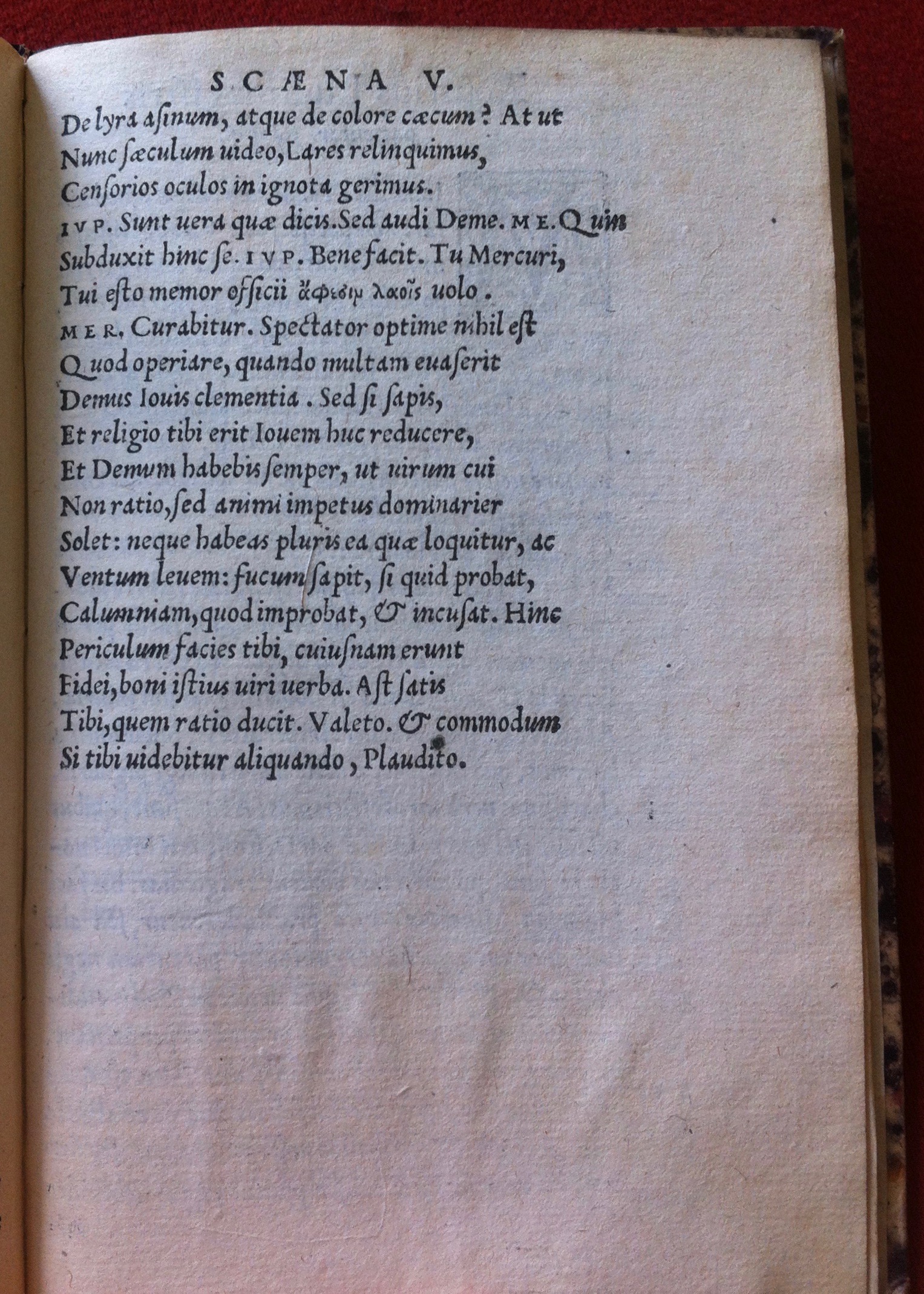 ZovitiusDidascalus1540p31.jpg