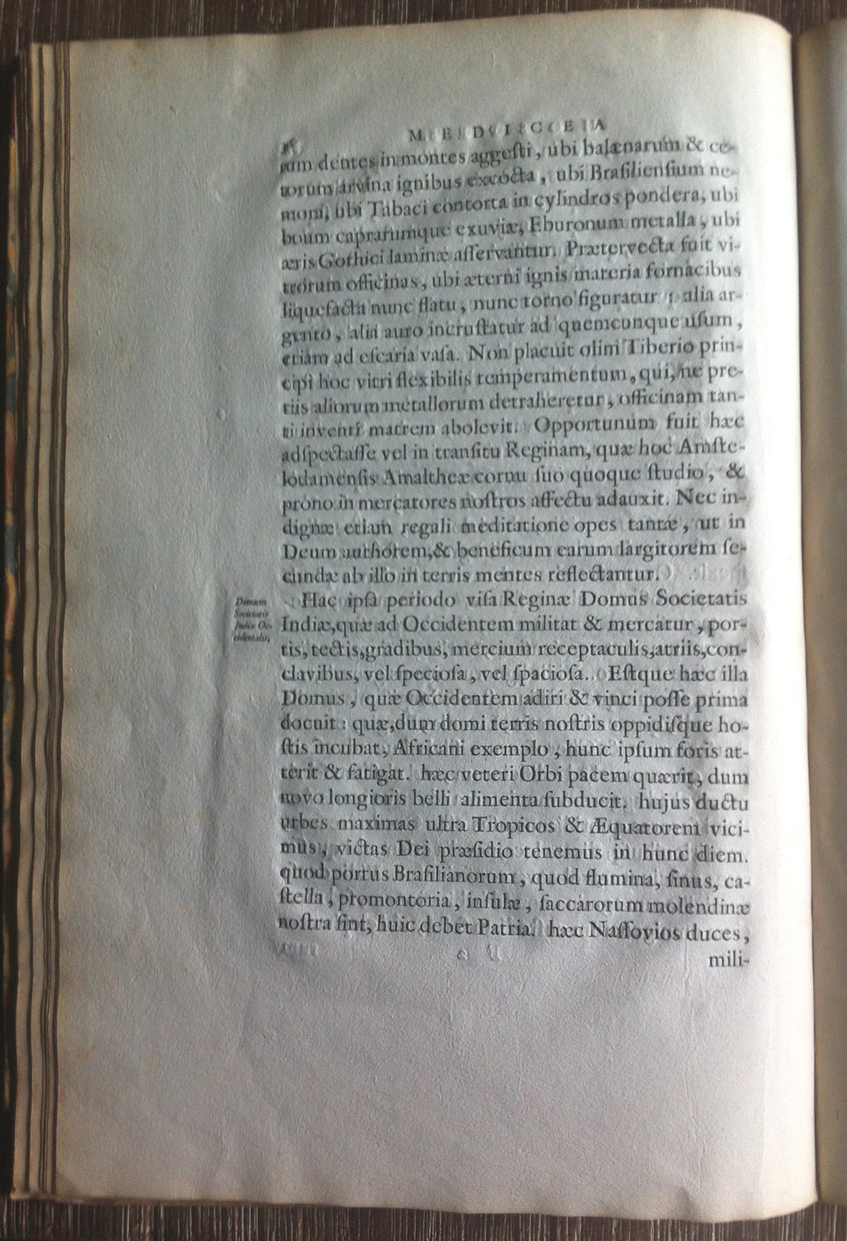 BarlaeusMH1638p36.jpg