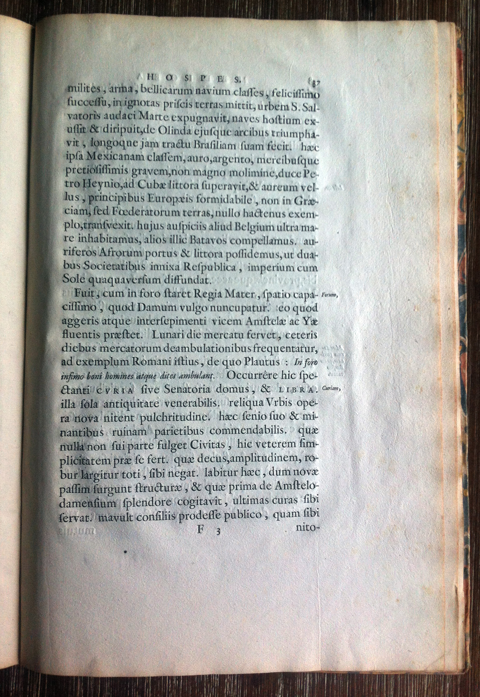 BarlaeusMH1638p37.jpg