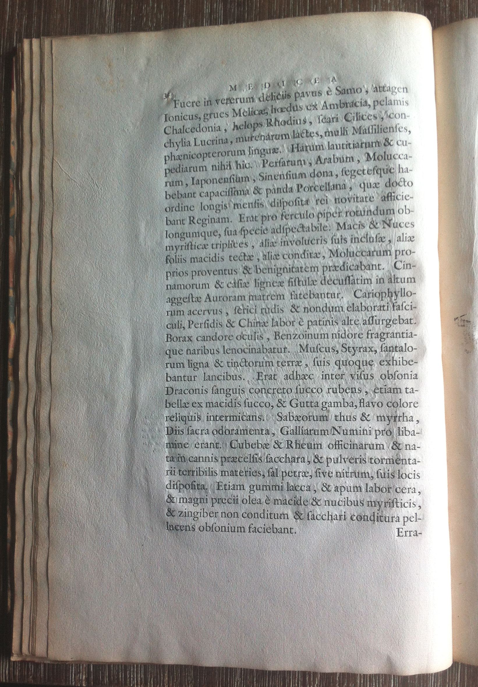 BarlaeusMH1638p32