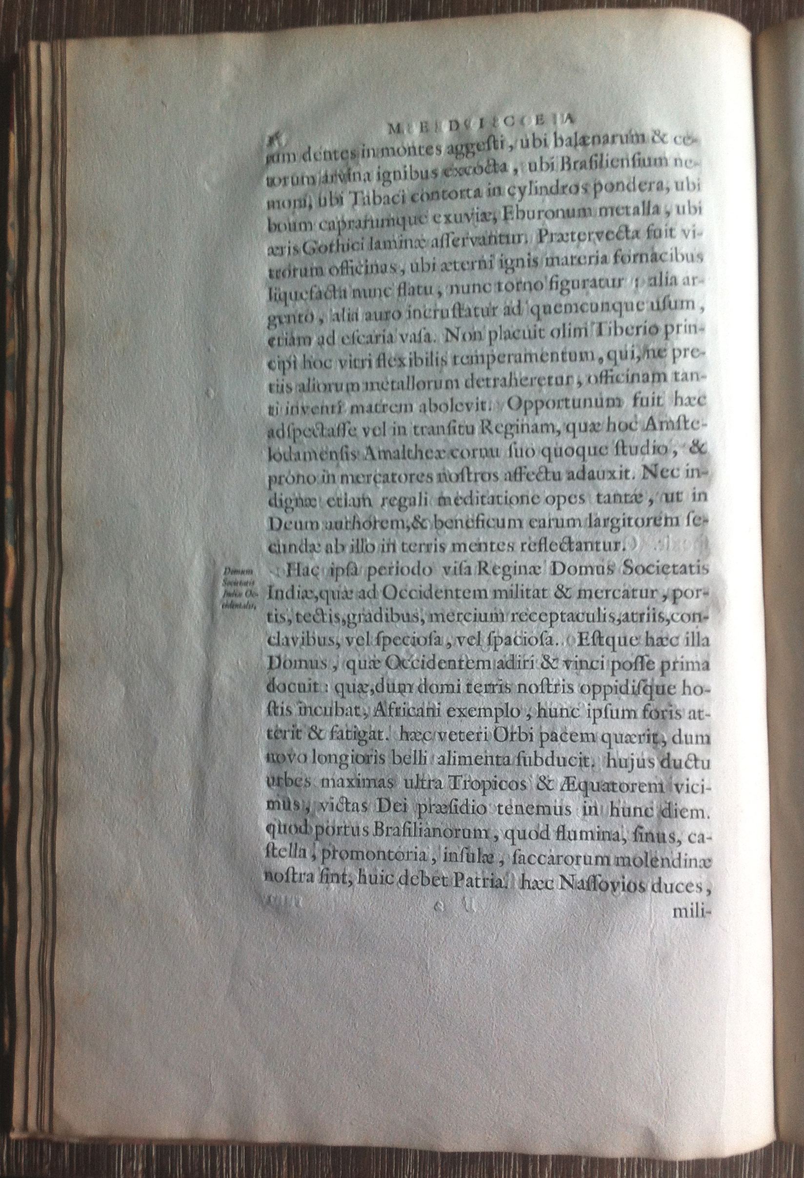 BarlaeusMH1638p36