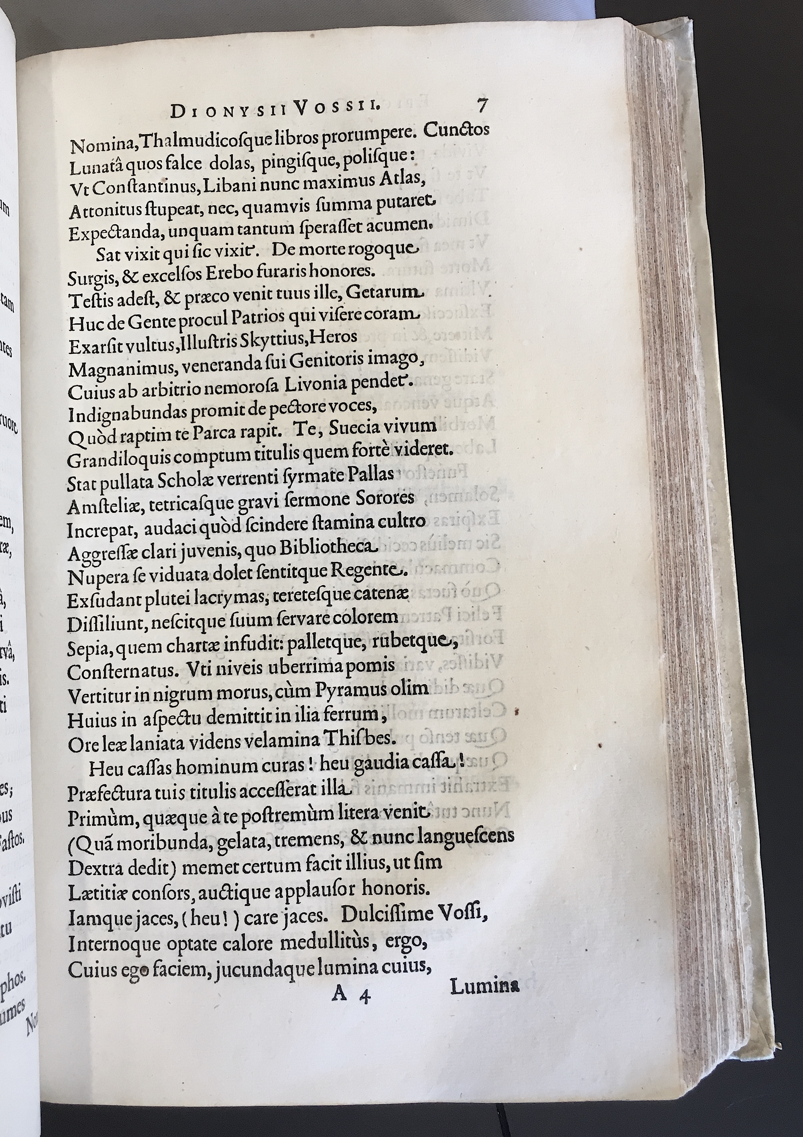 BenninghDionysius1633p07.jpg