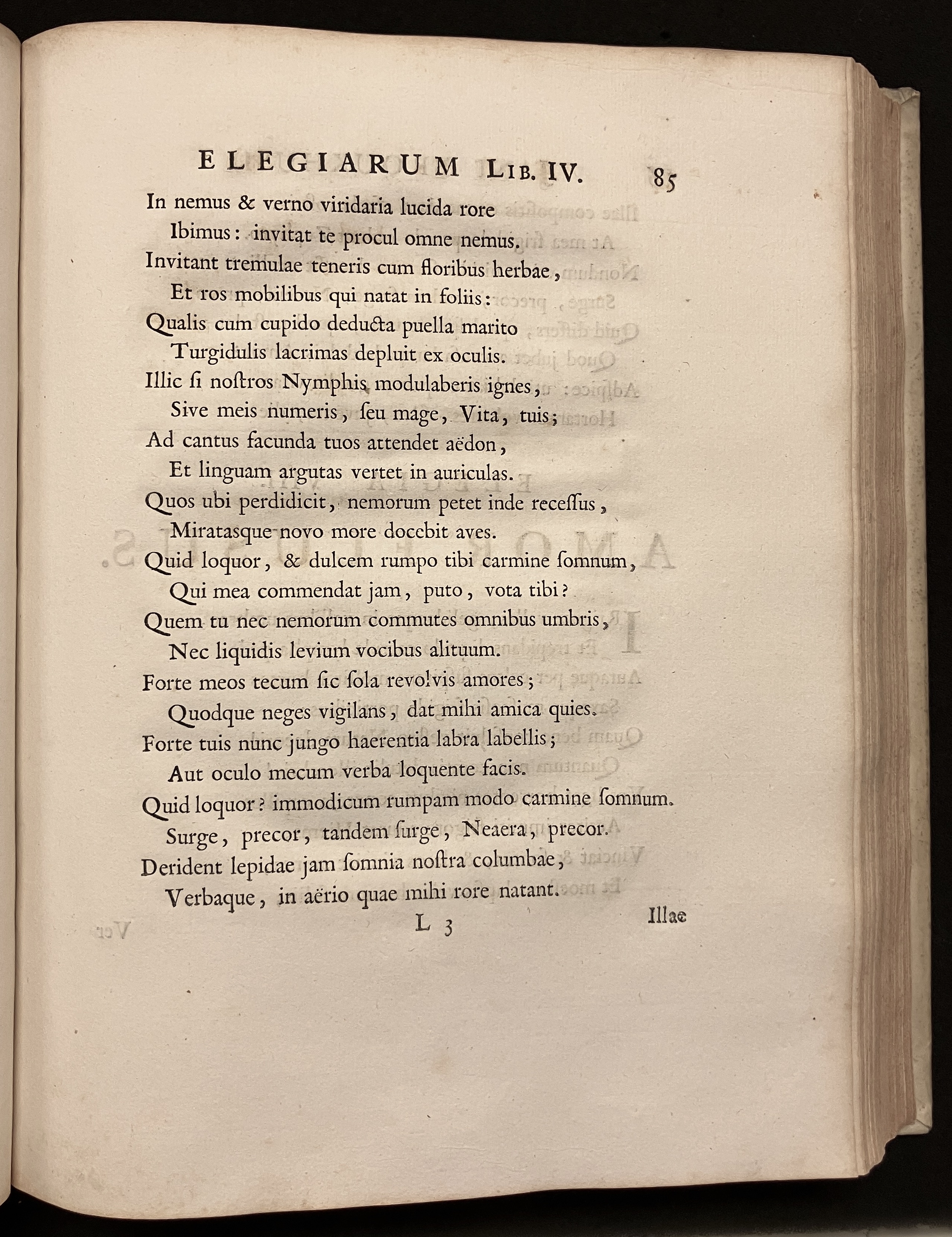 BroukhusiusPoemata1711p085