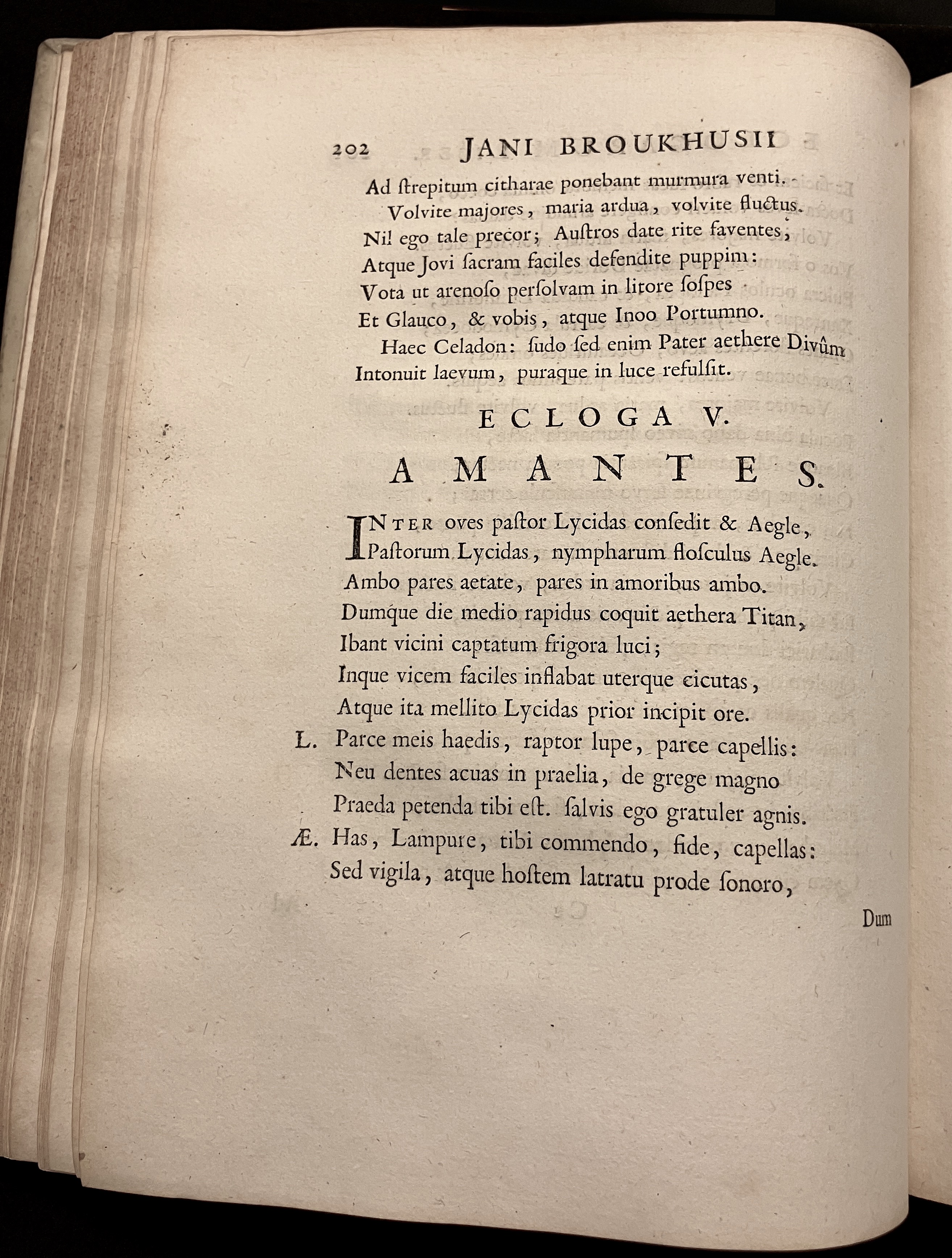 BroukhusiusPoemata1711p202.jpg