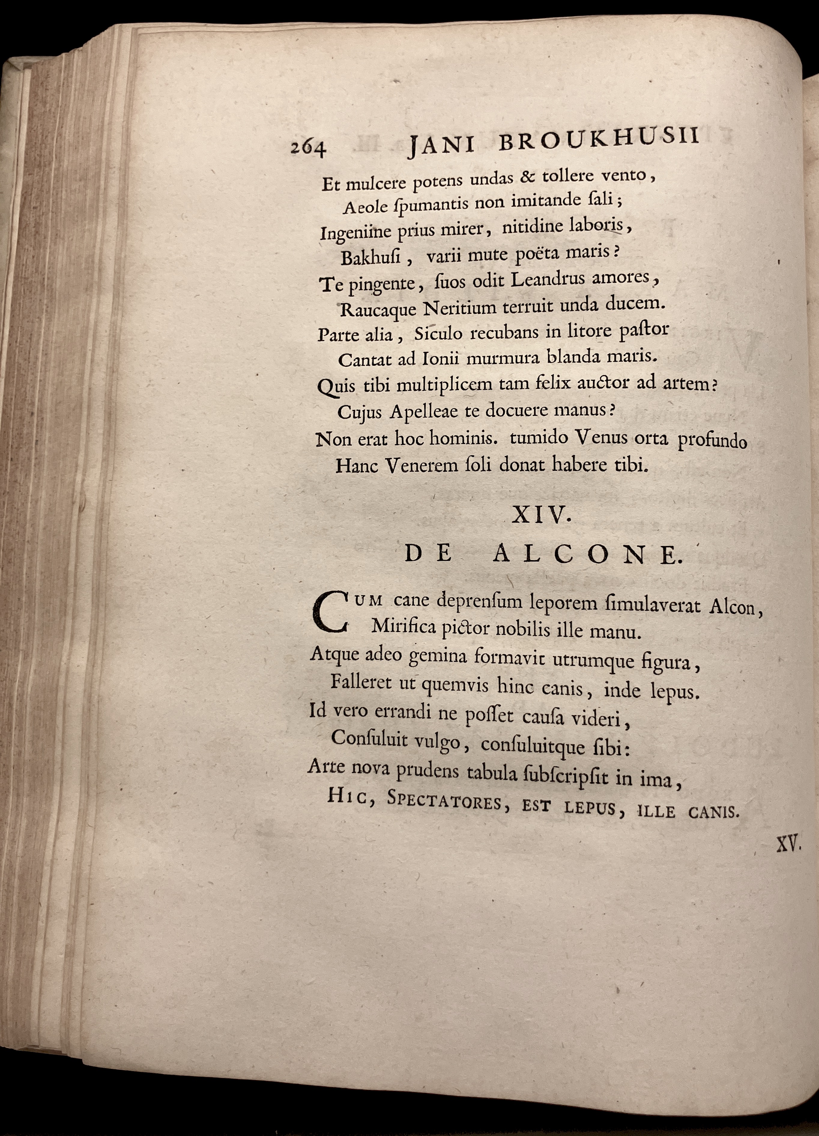 BroukhusiusPoemata1711p264.jpg
