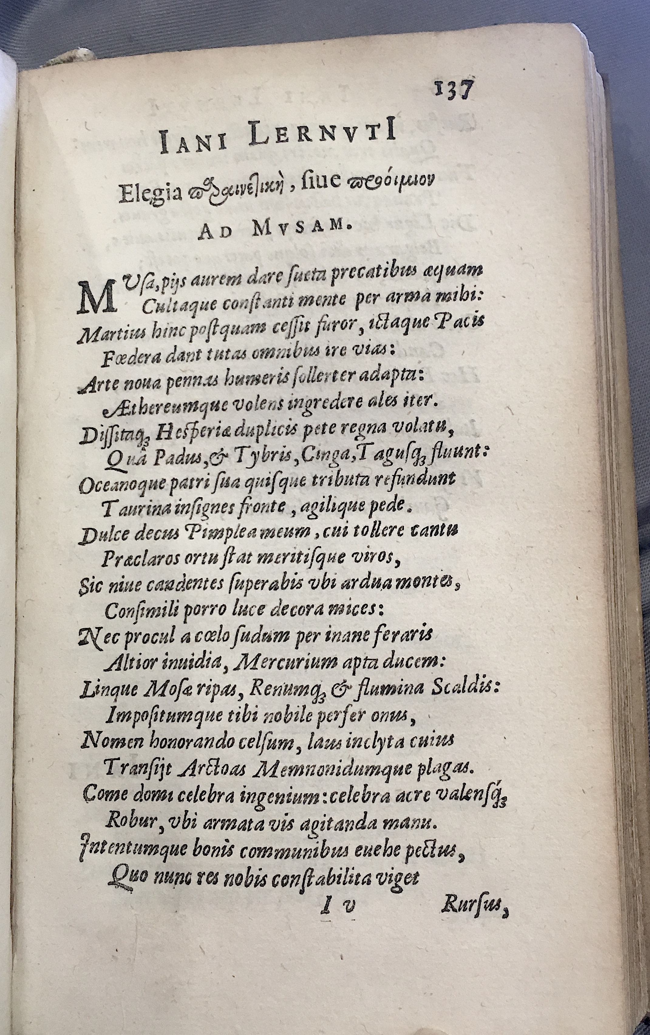 Lernutius1614p137.jpg