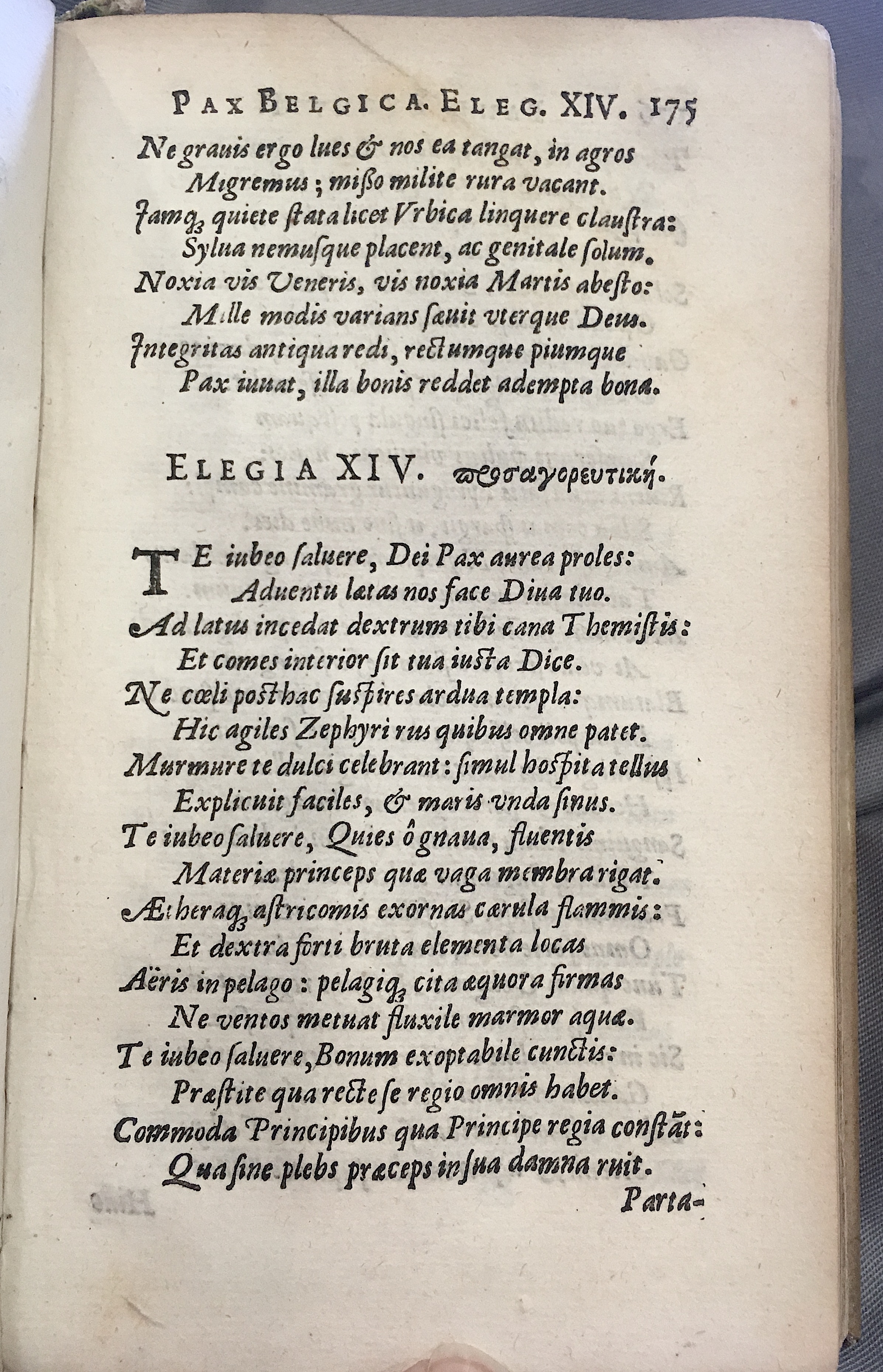 Lernutius1614p175.jpg