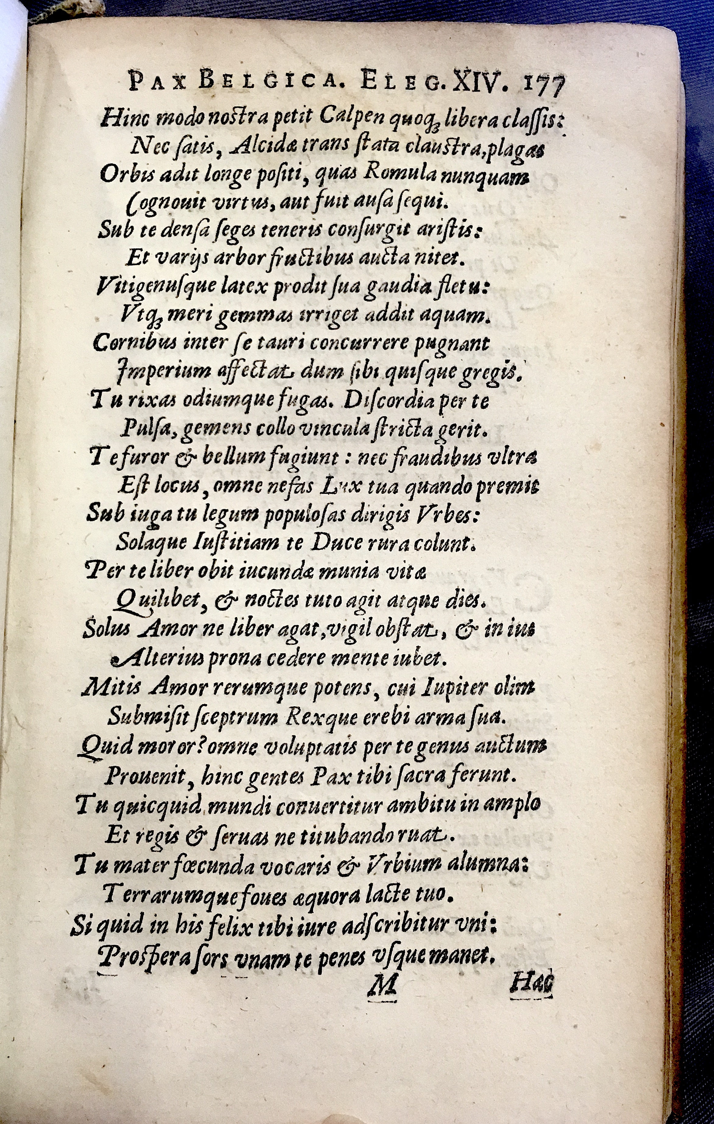 Lernutius1614p177.jpg