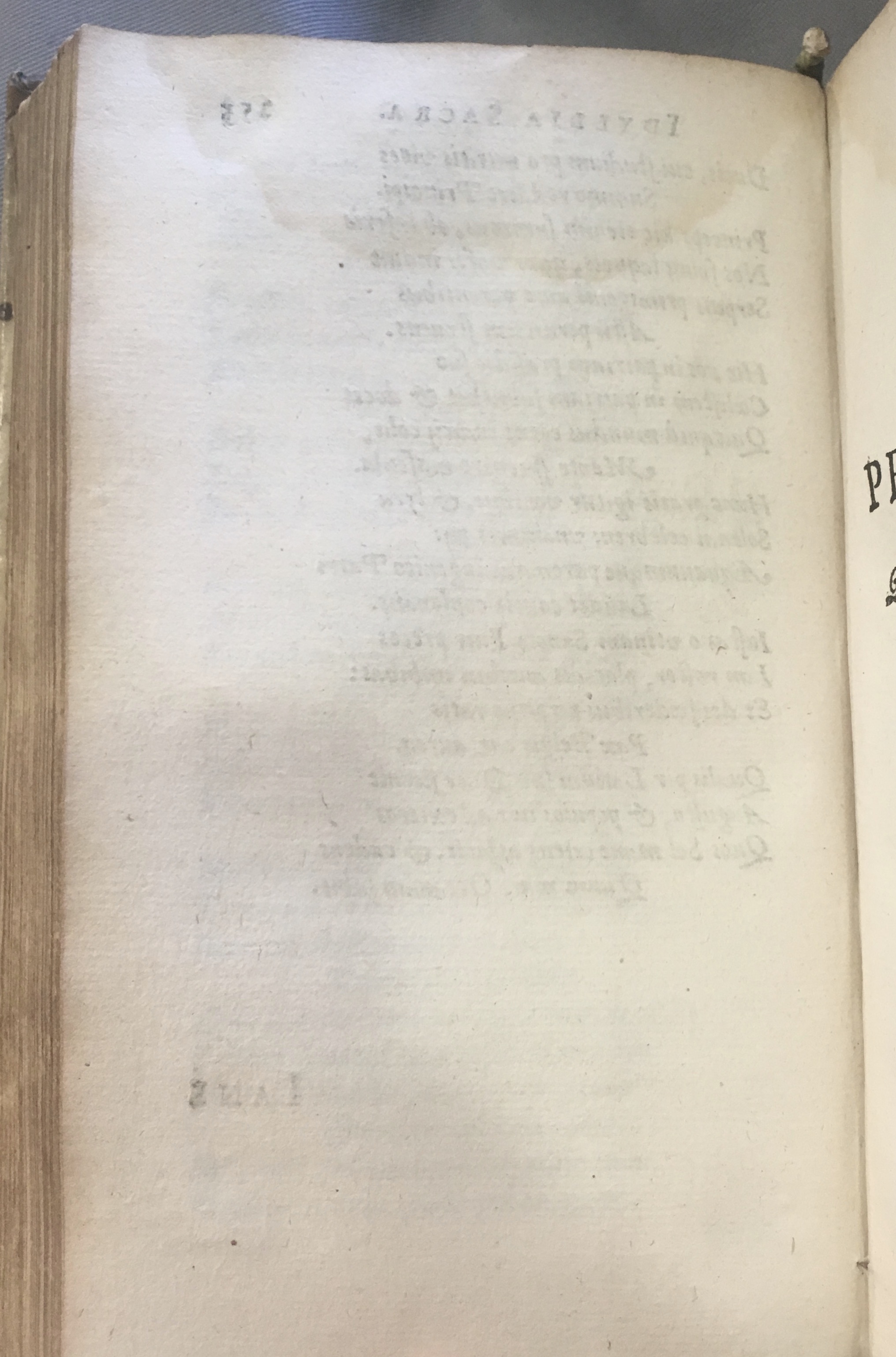Lernutius1614p254.jpg