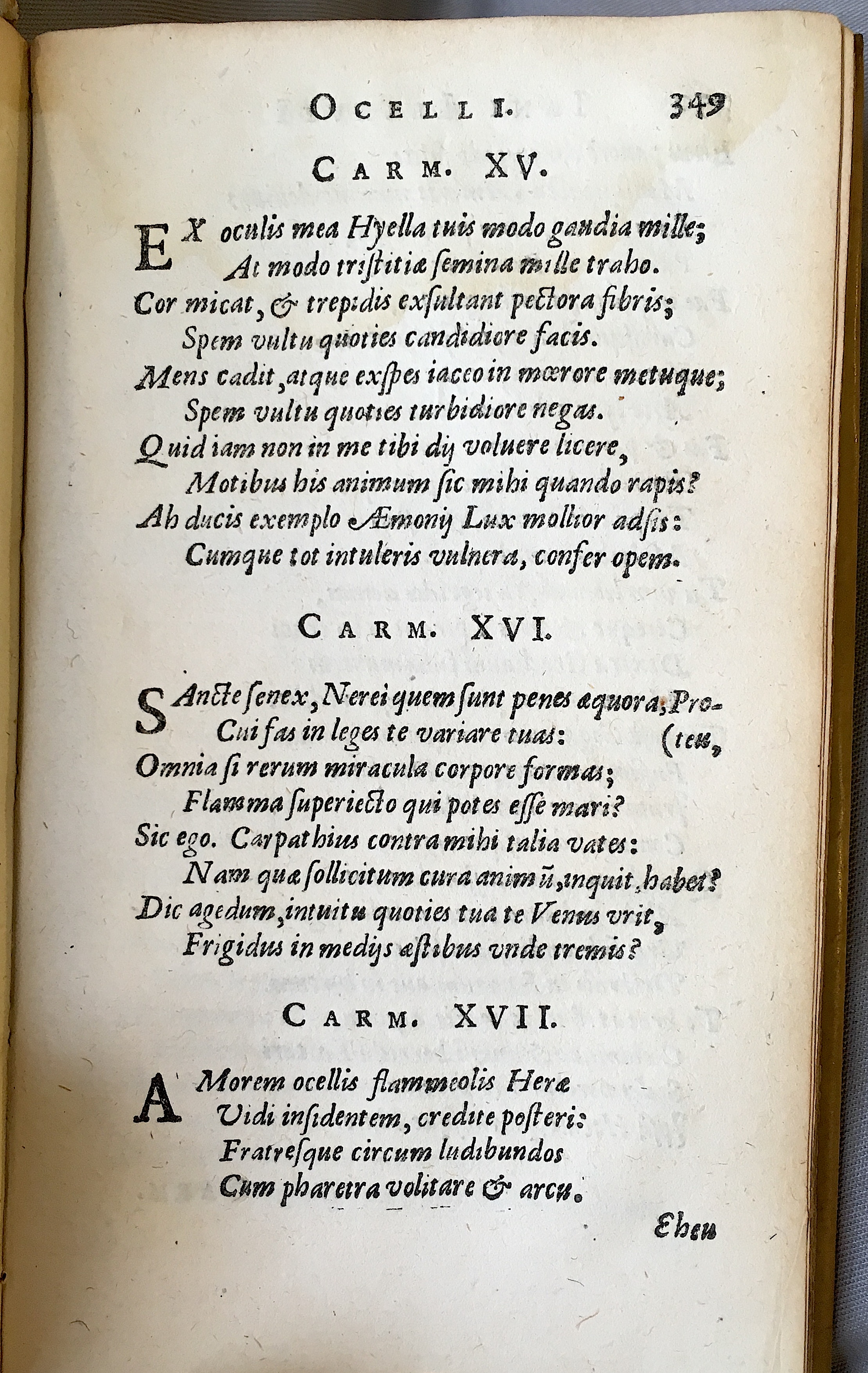 Lernutius1614p349.jpg