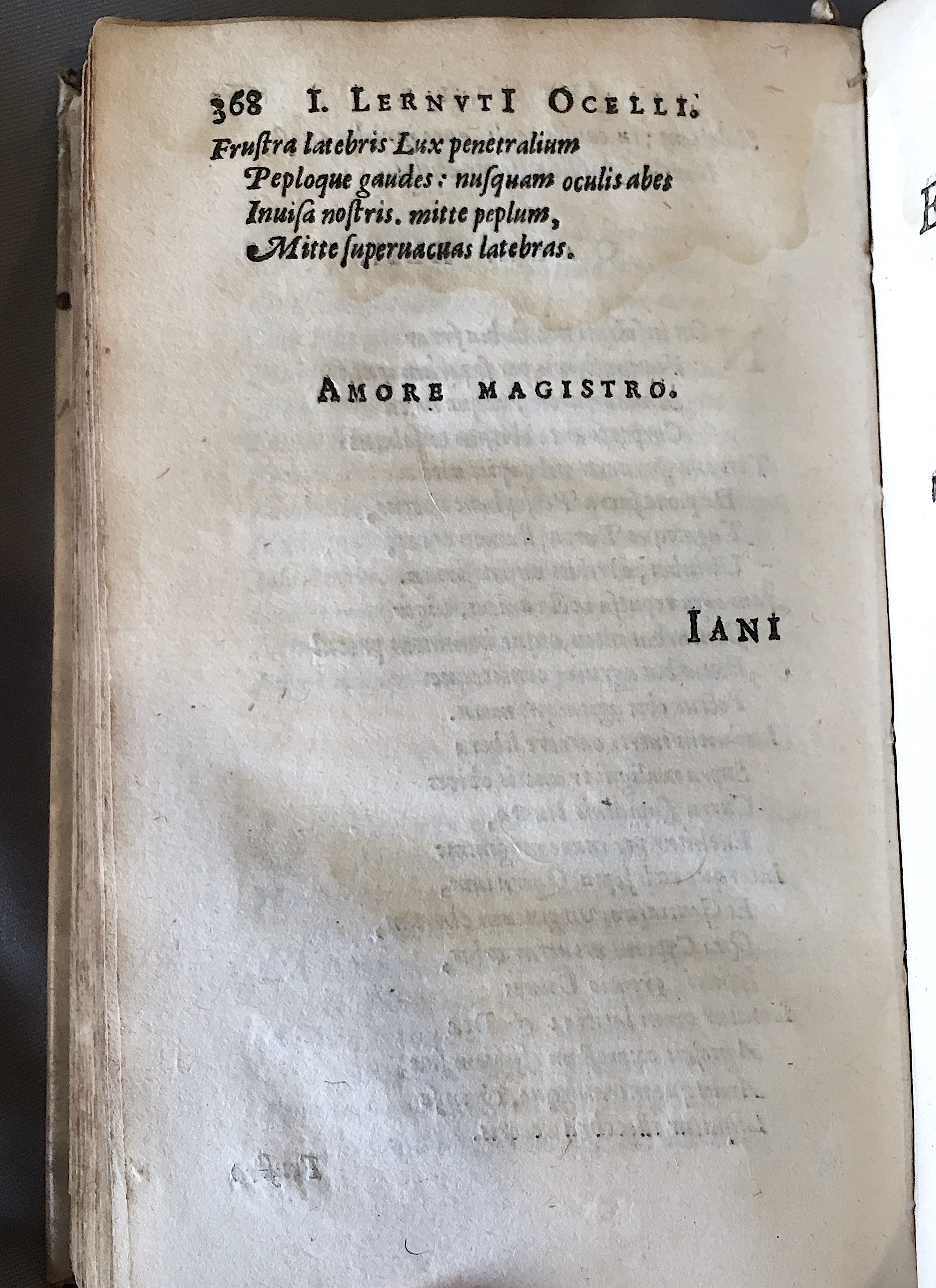 Lernutius1614p368.jpg