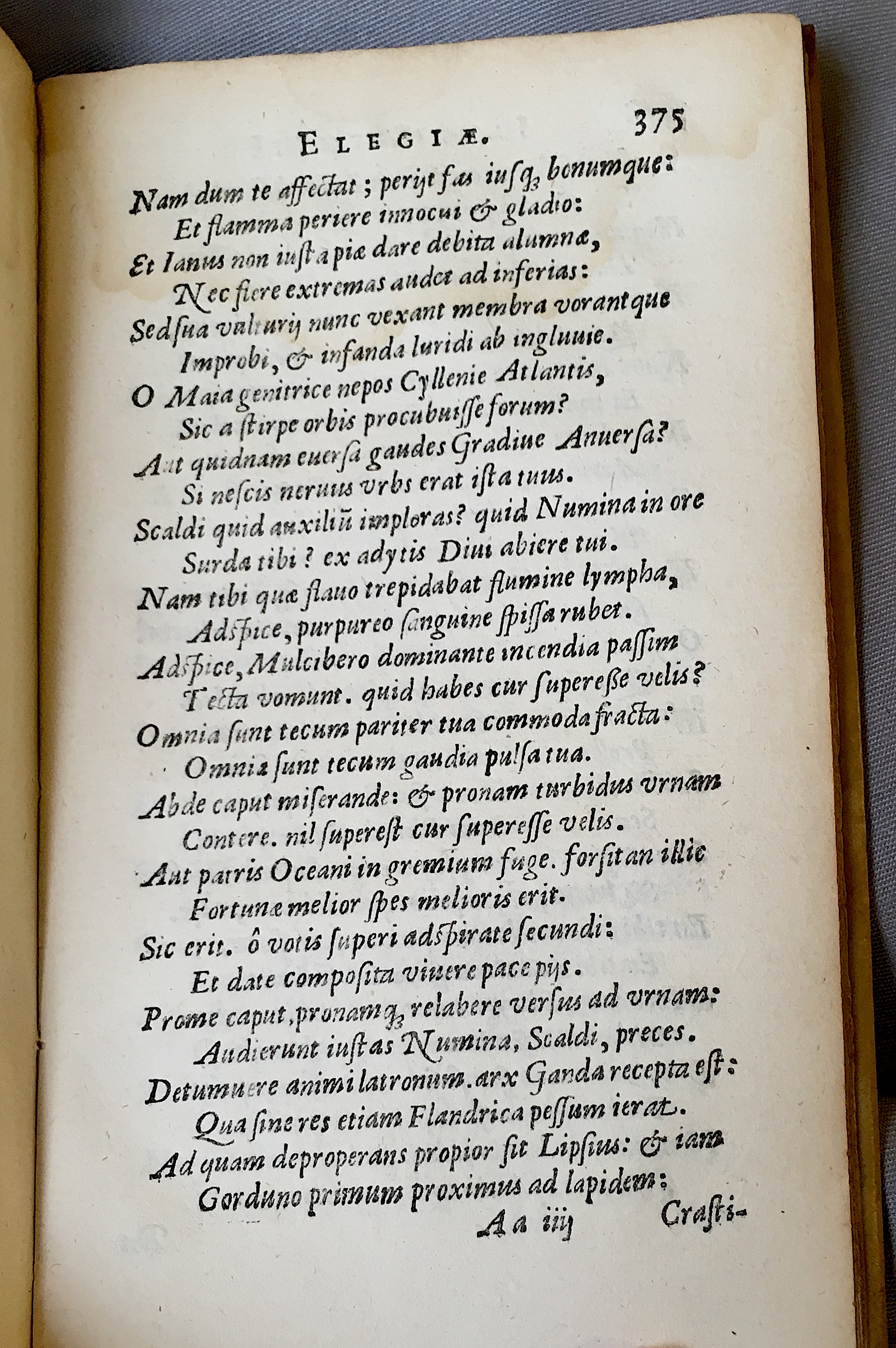 Lernutius1614p375.jpg