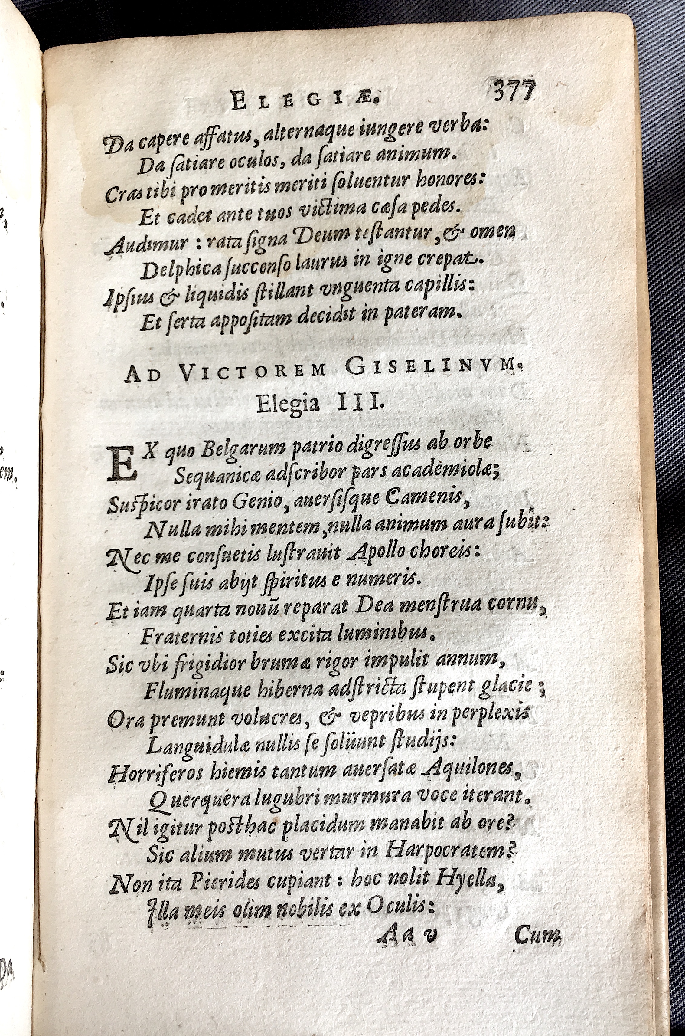 Lernutius1614p377.jpg