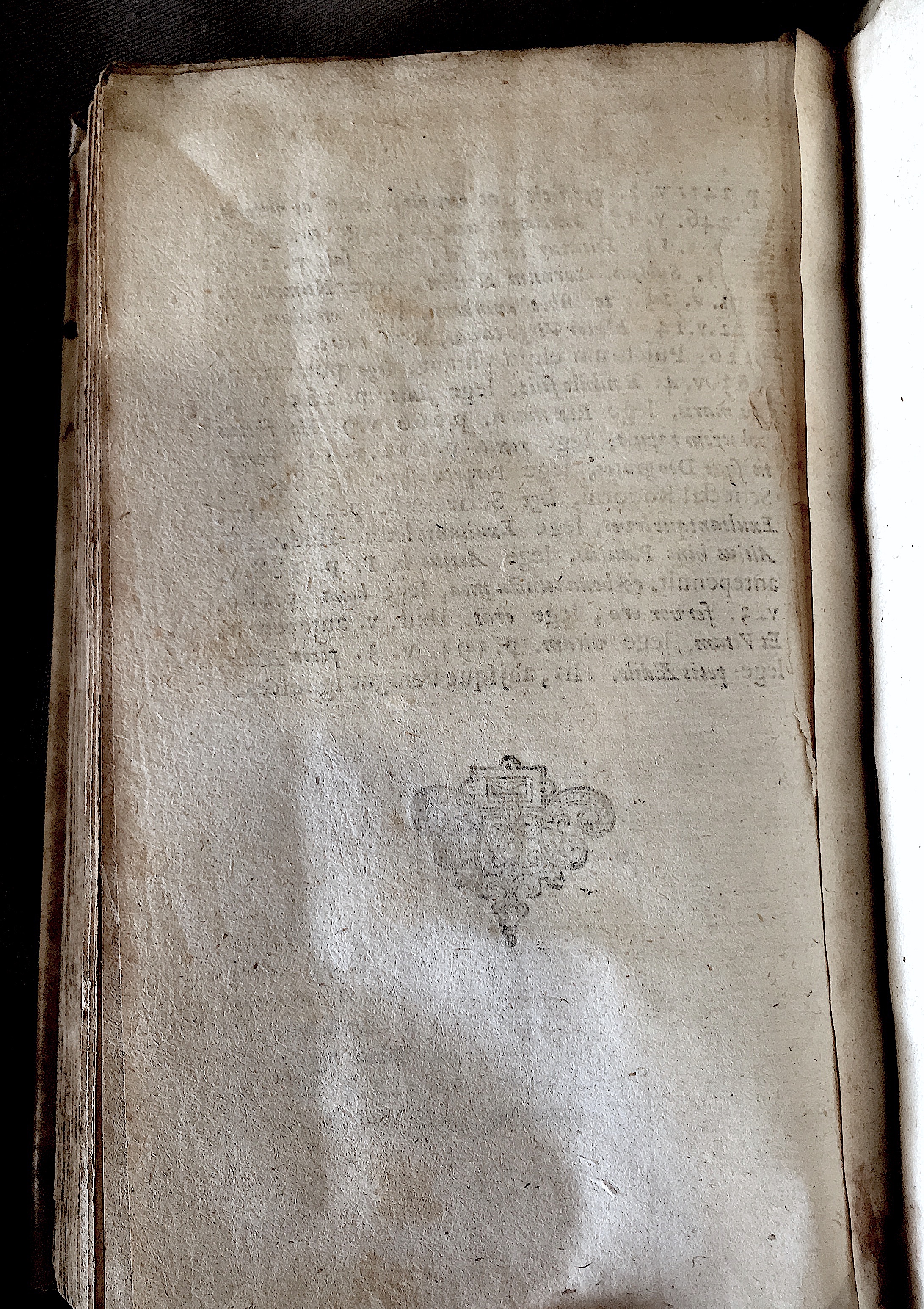 Lernutius1614p406.jpg