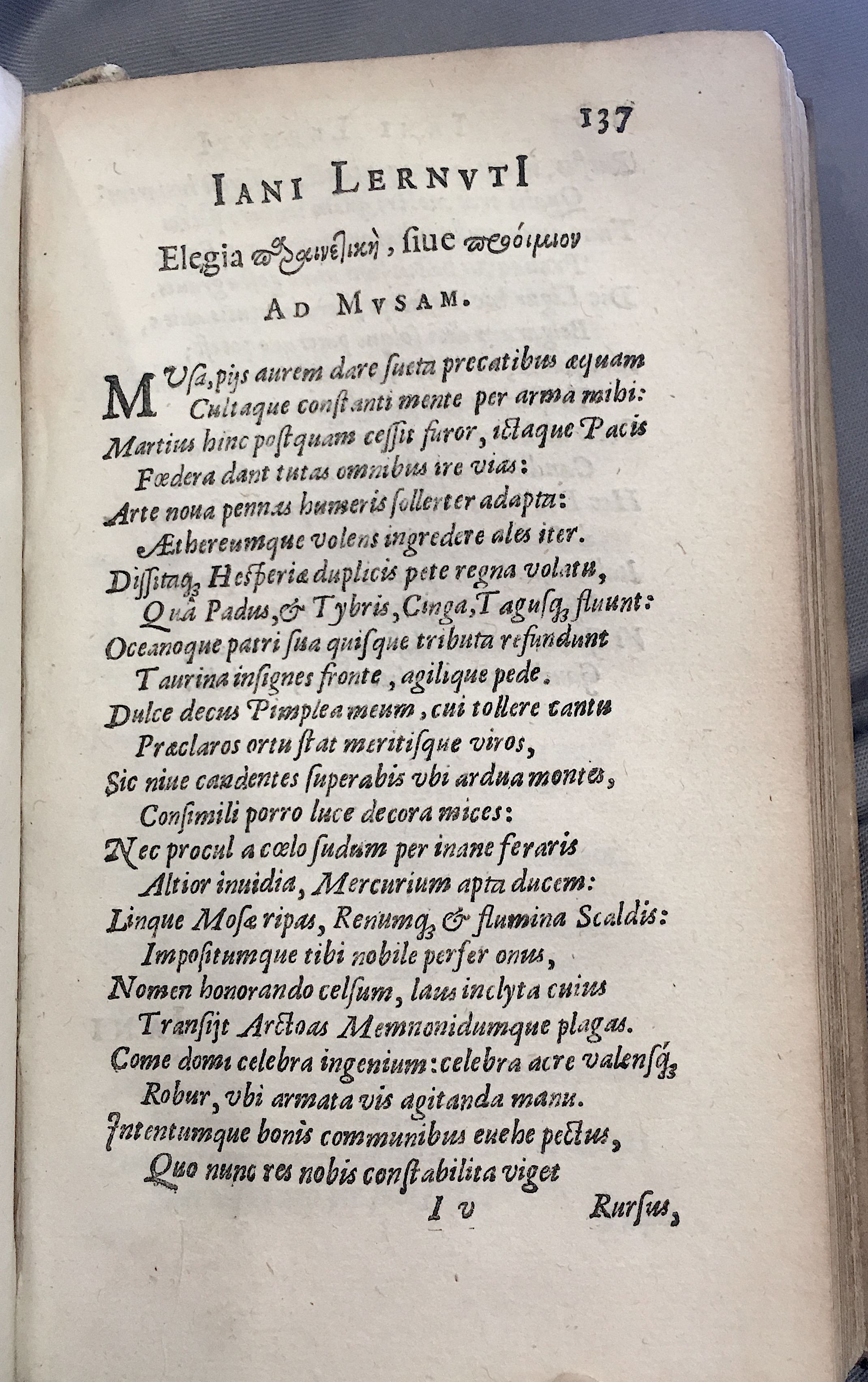 Lernutius1614p137