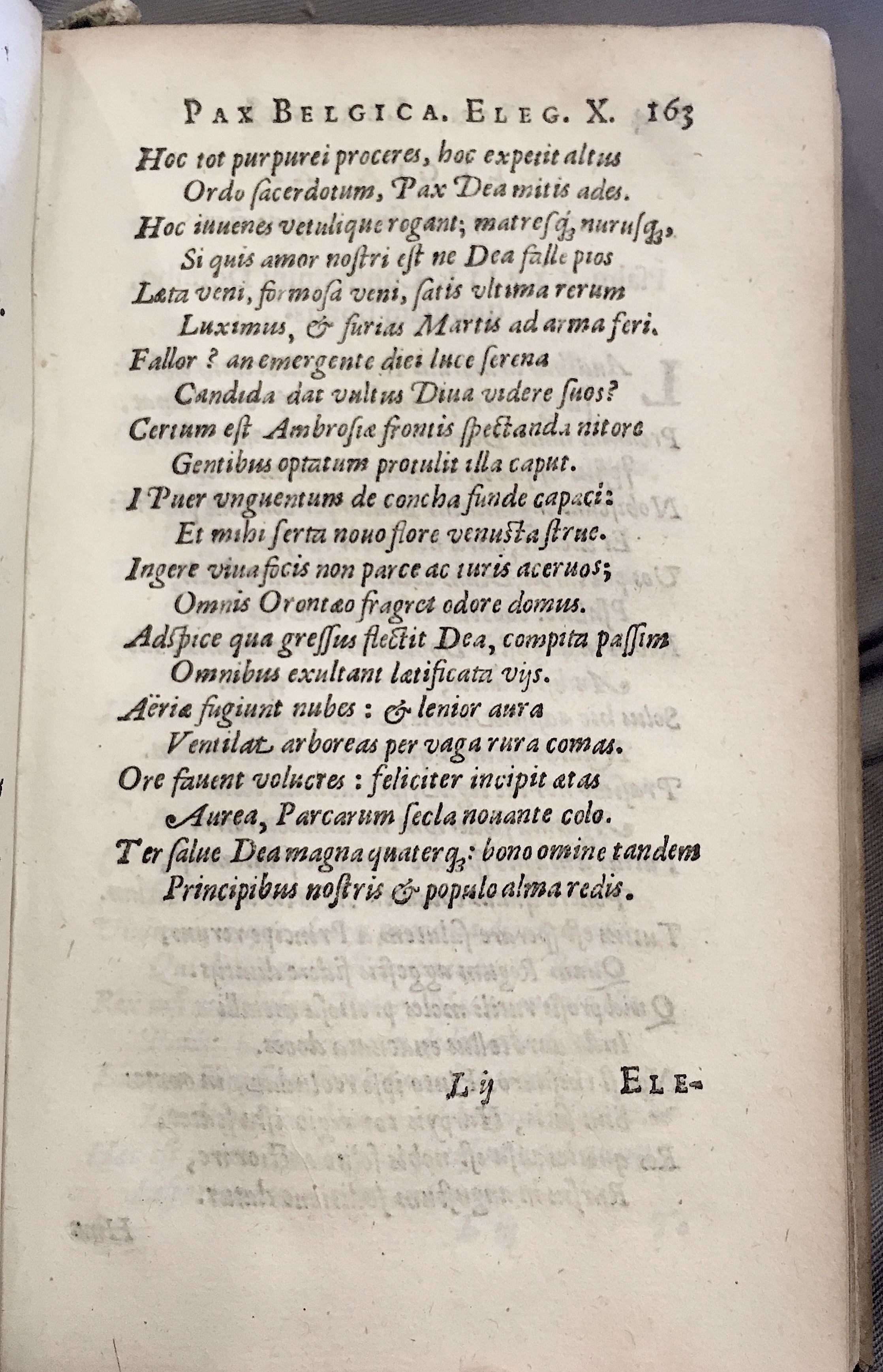 Lernutius1614p163