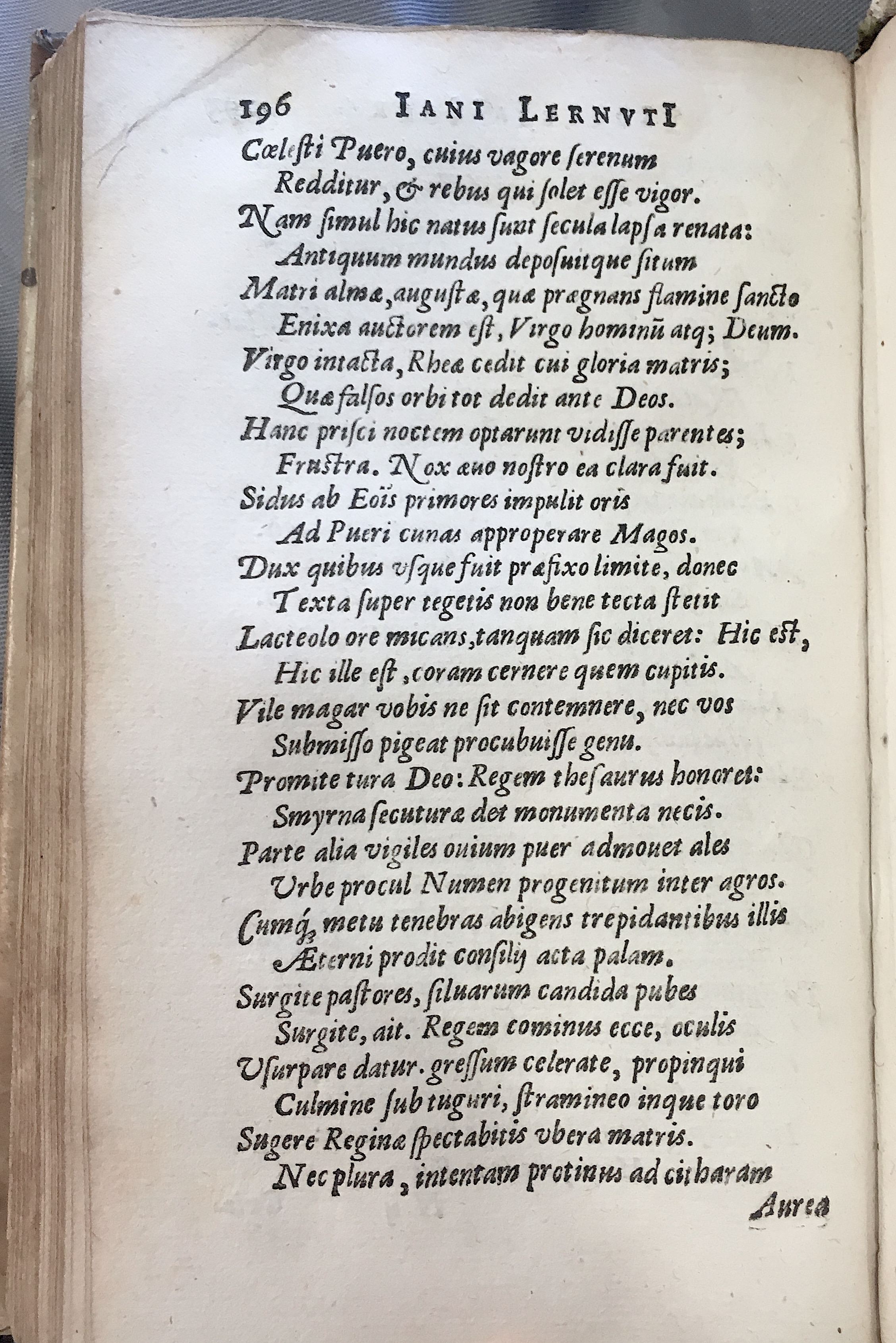 Lernutius1614p196