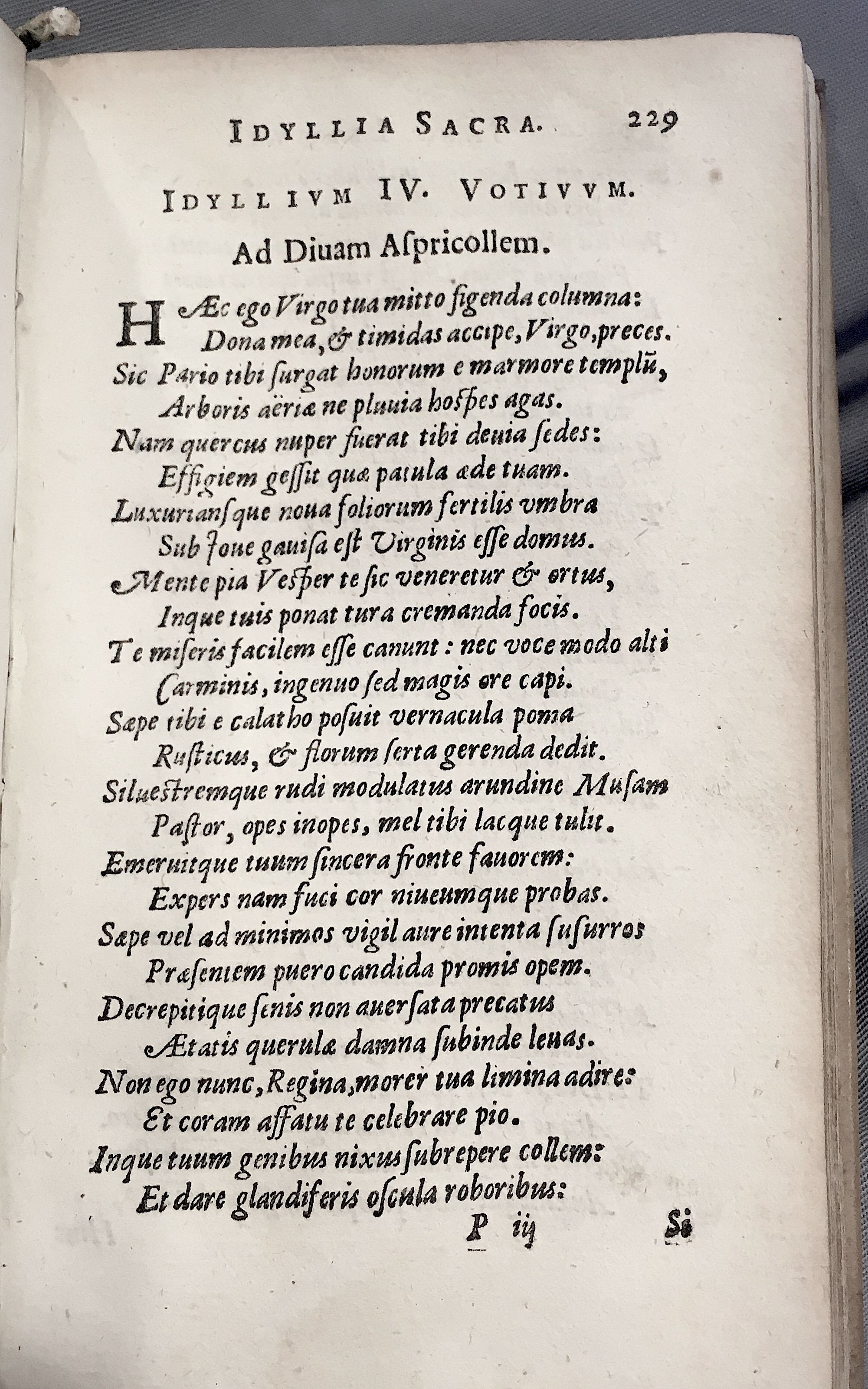 Lernutius1614p229