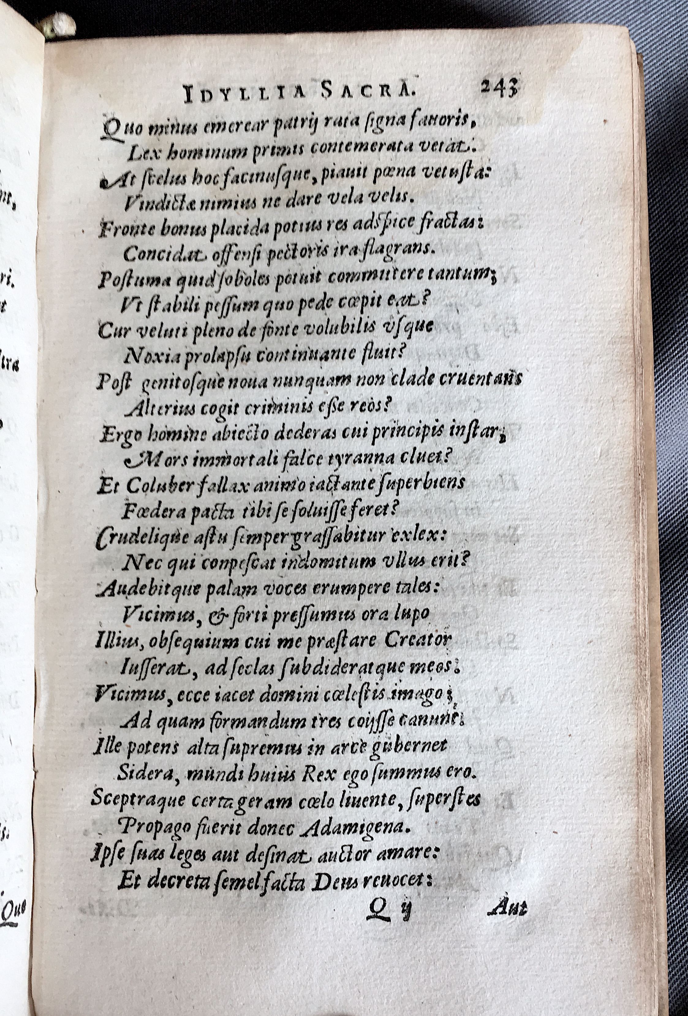 Lernutius1614p243