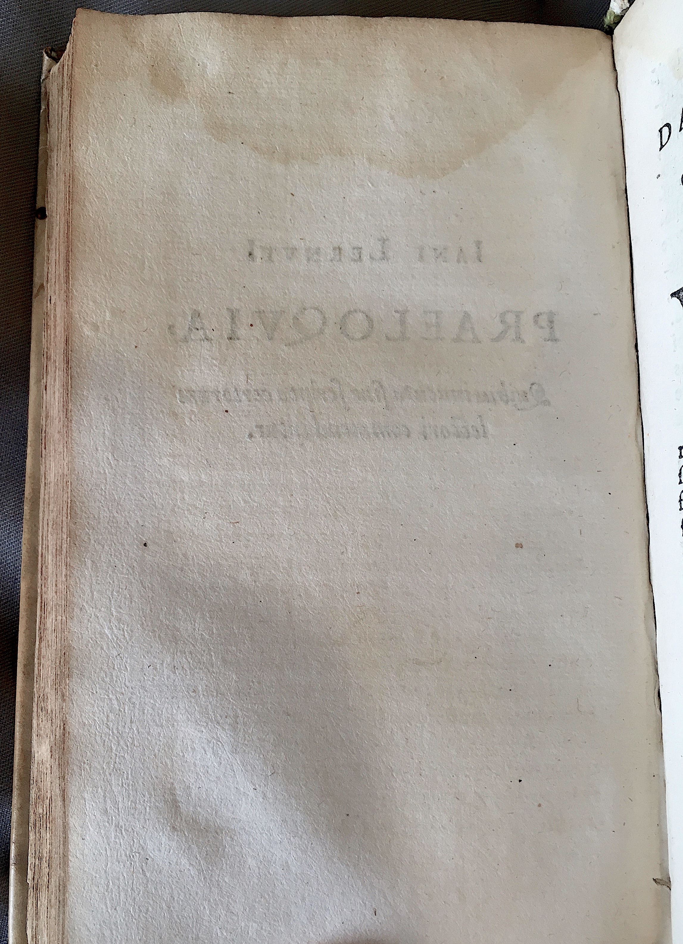 Lernutius1614p256