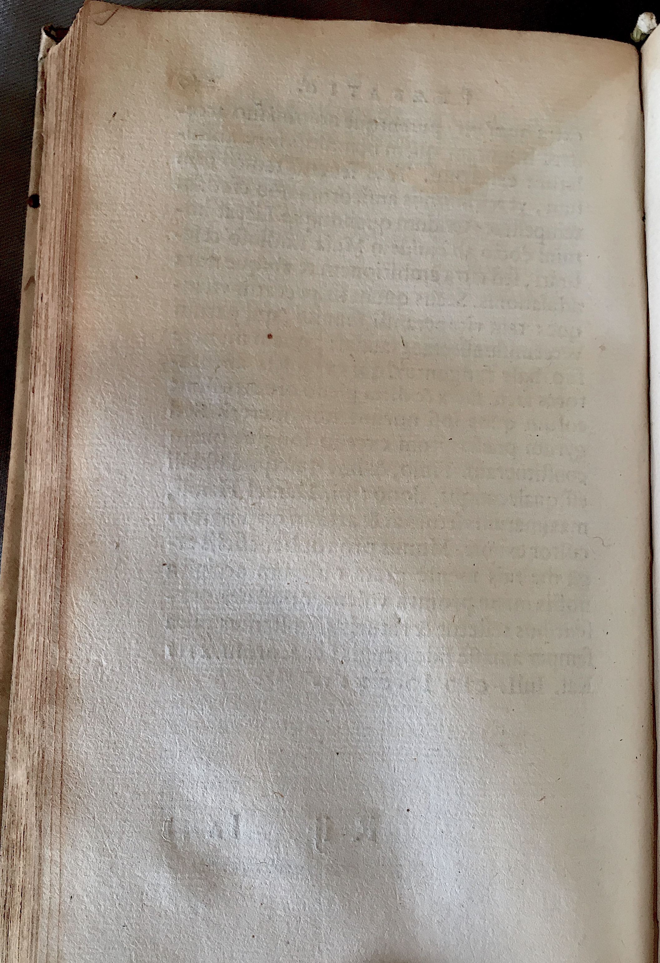 Lernutius1614p260