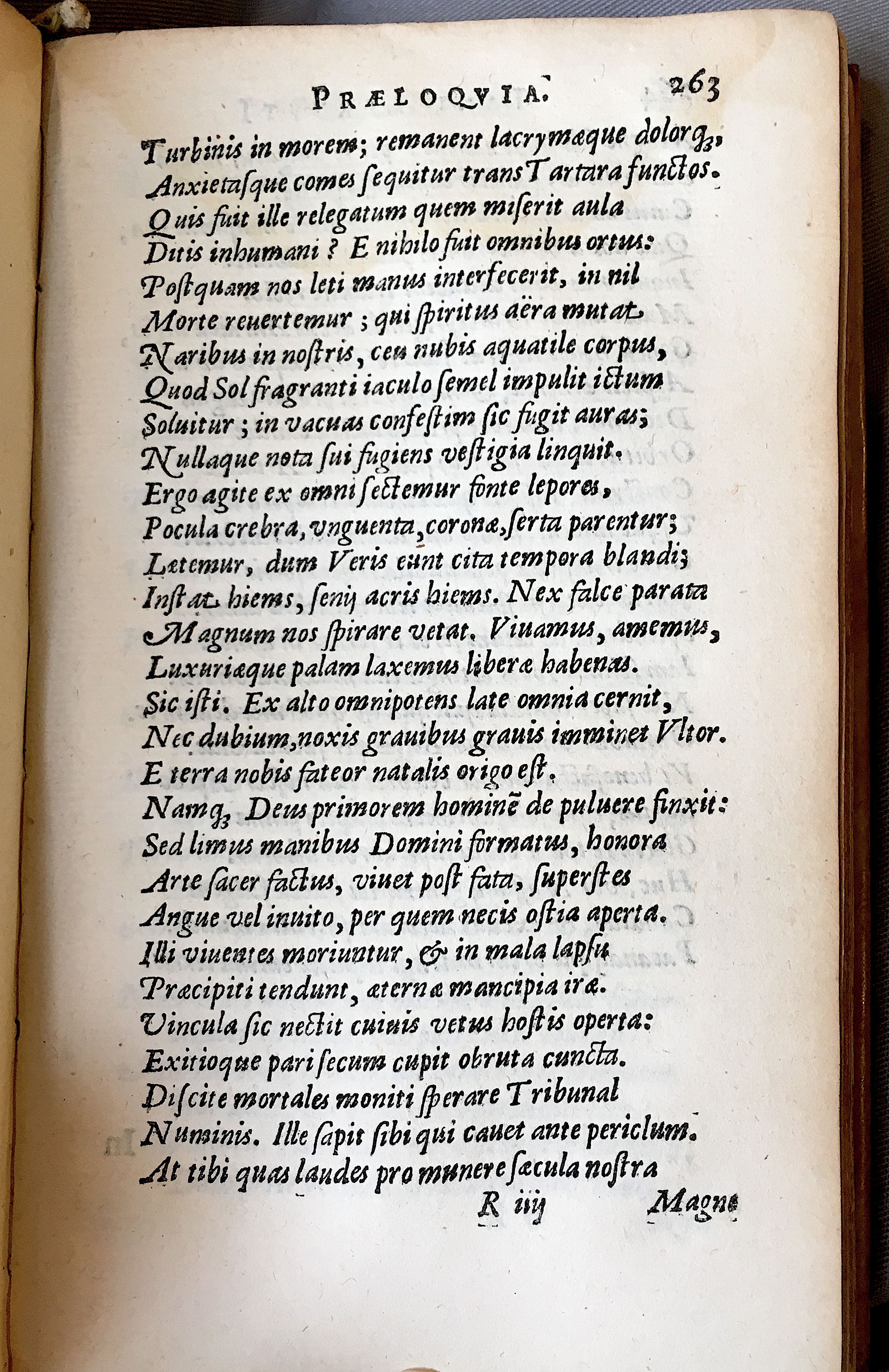 Lernutius1614p263