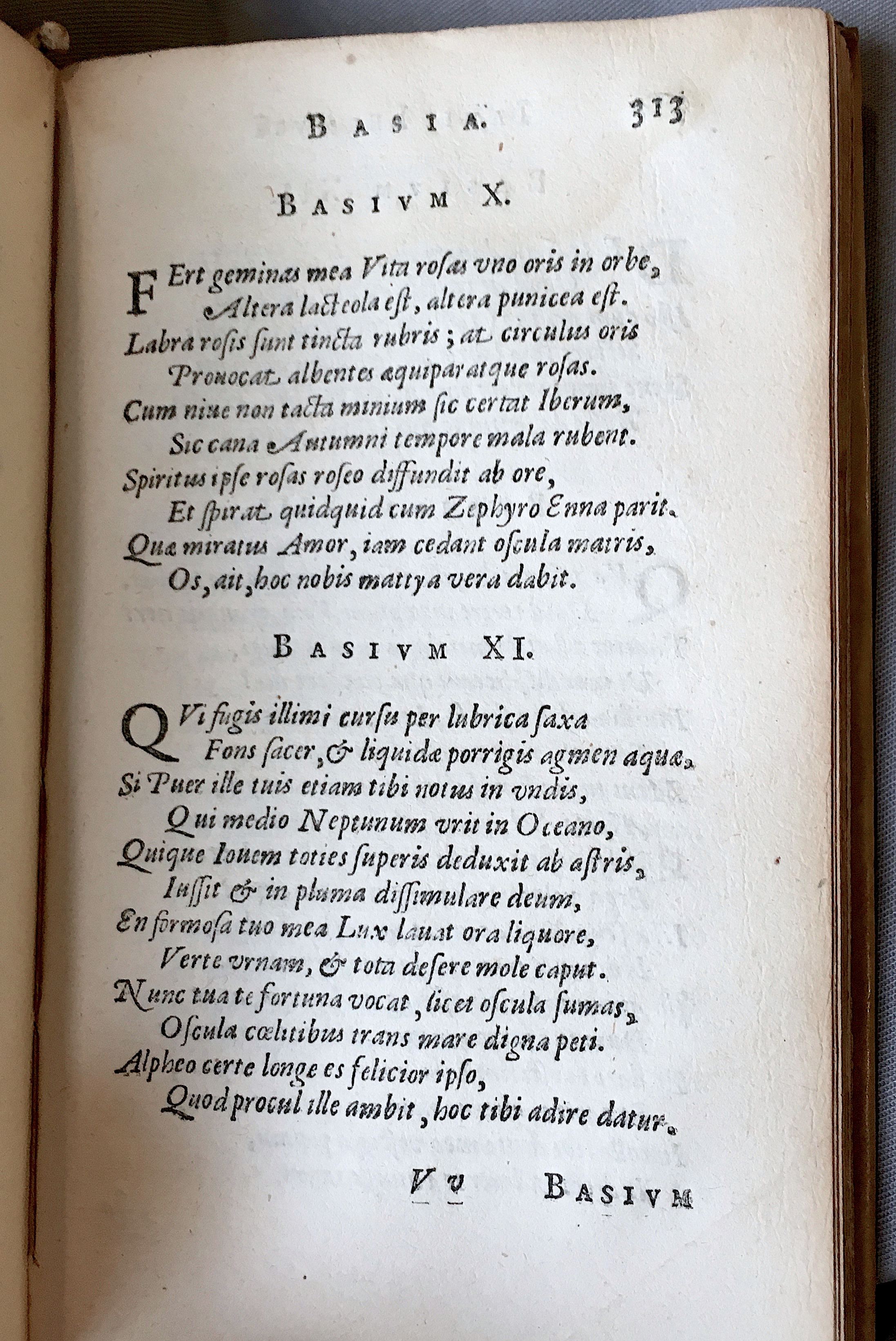 Lernutius1614p313