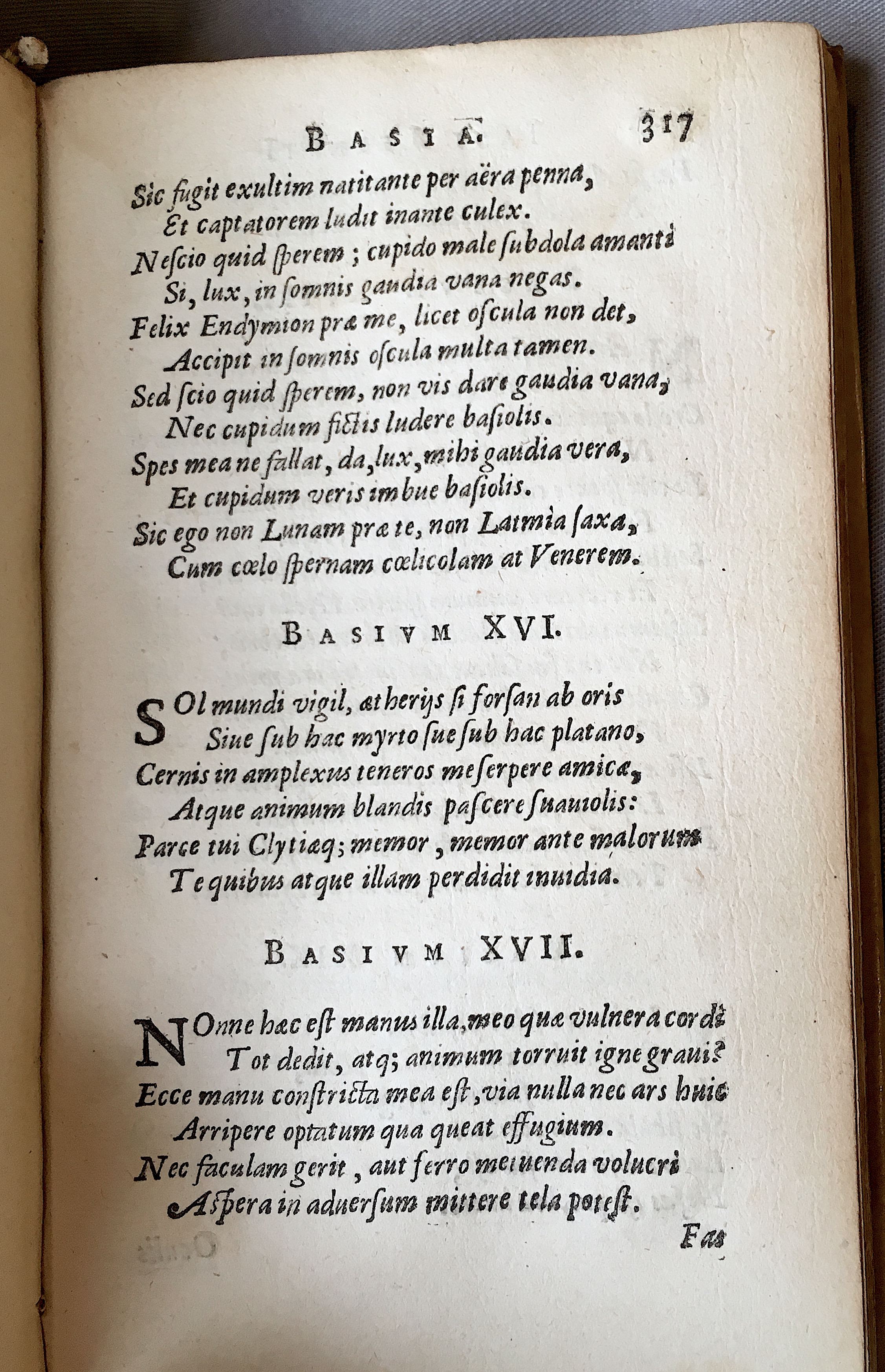 Lernutius1614p317