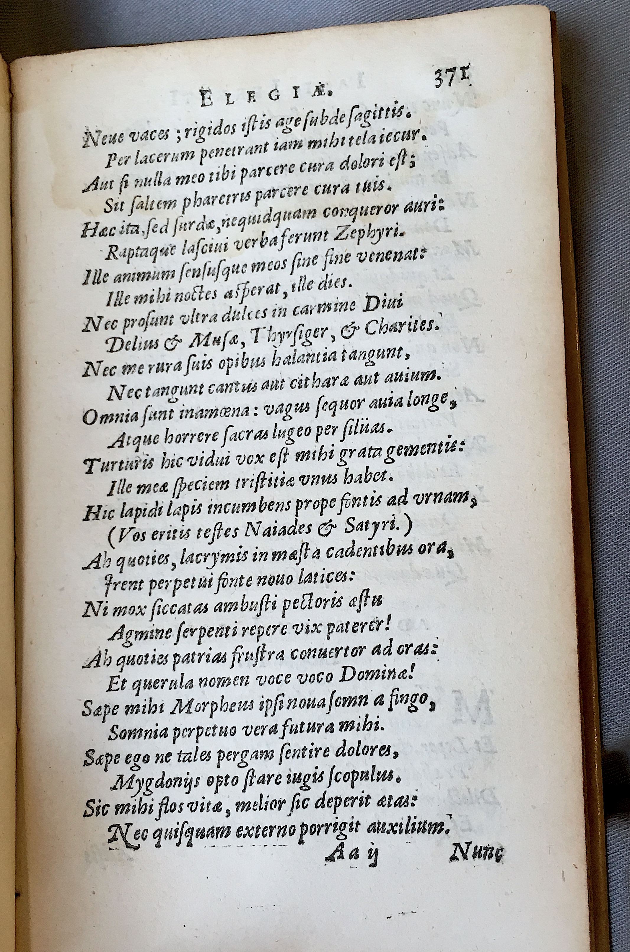 Lernutius1614p371