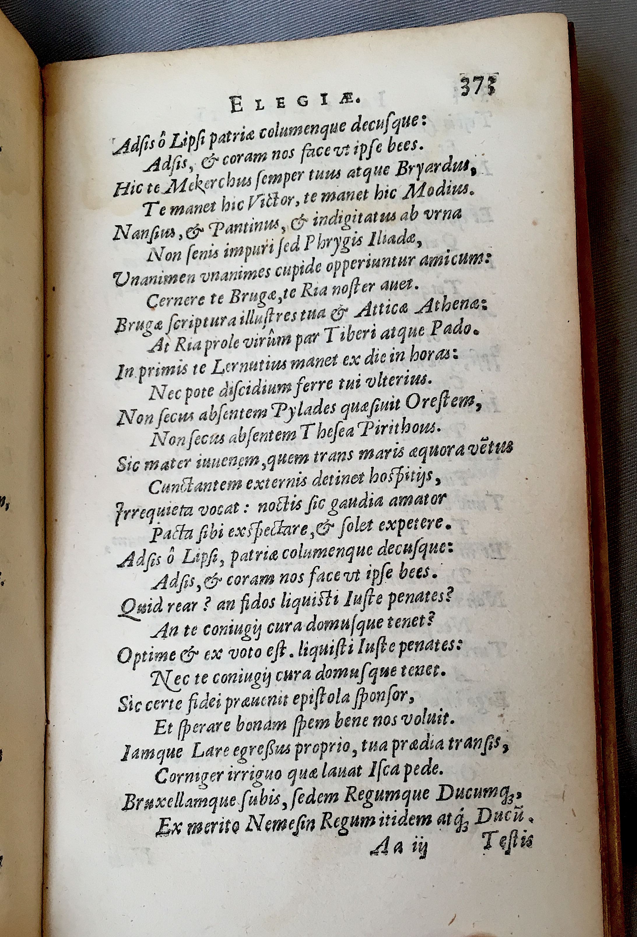 Lernutius1614p373