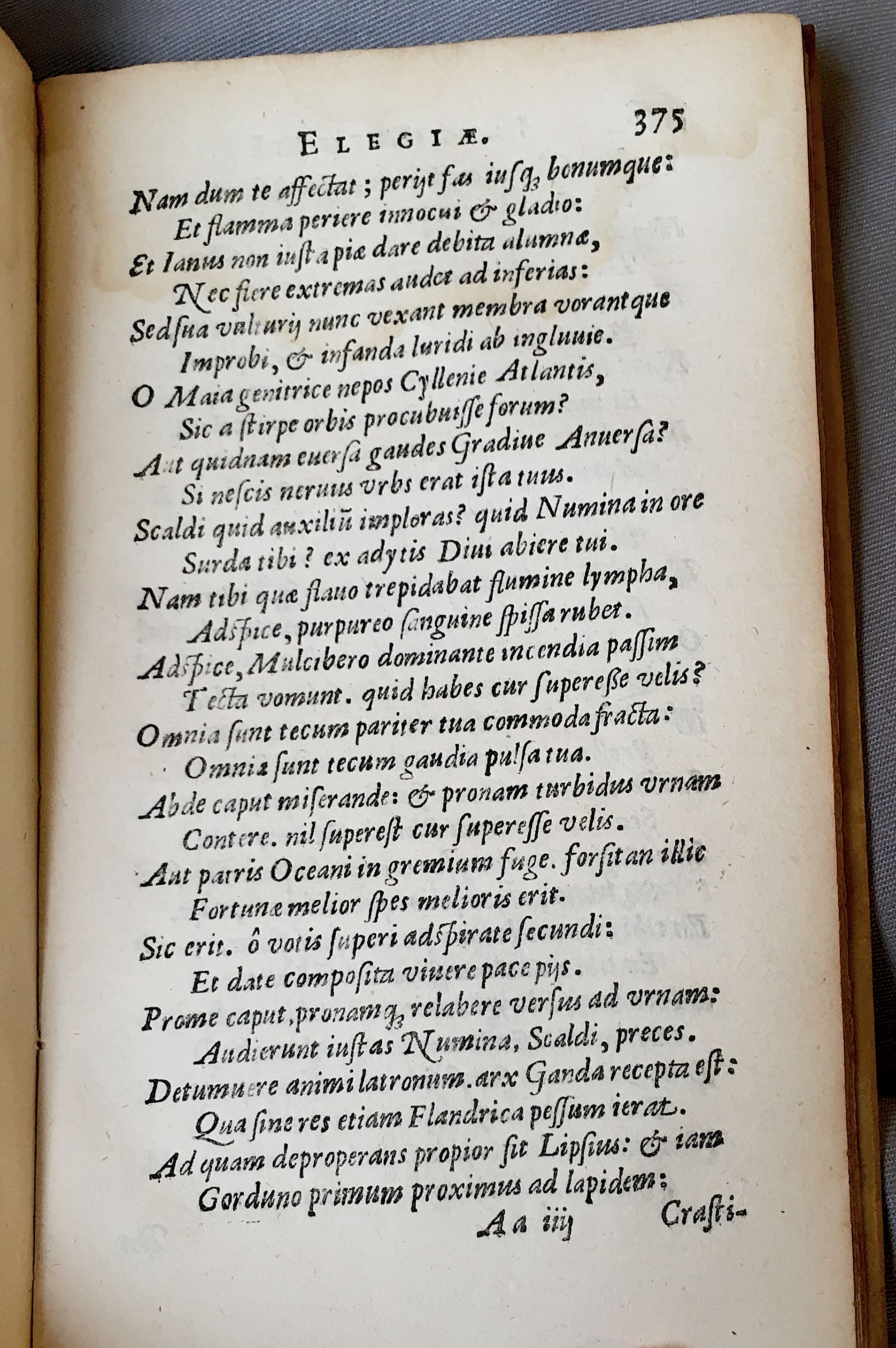 Lernutius1614p375