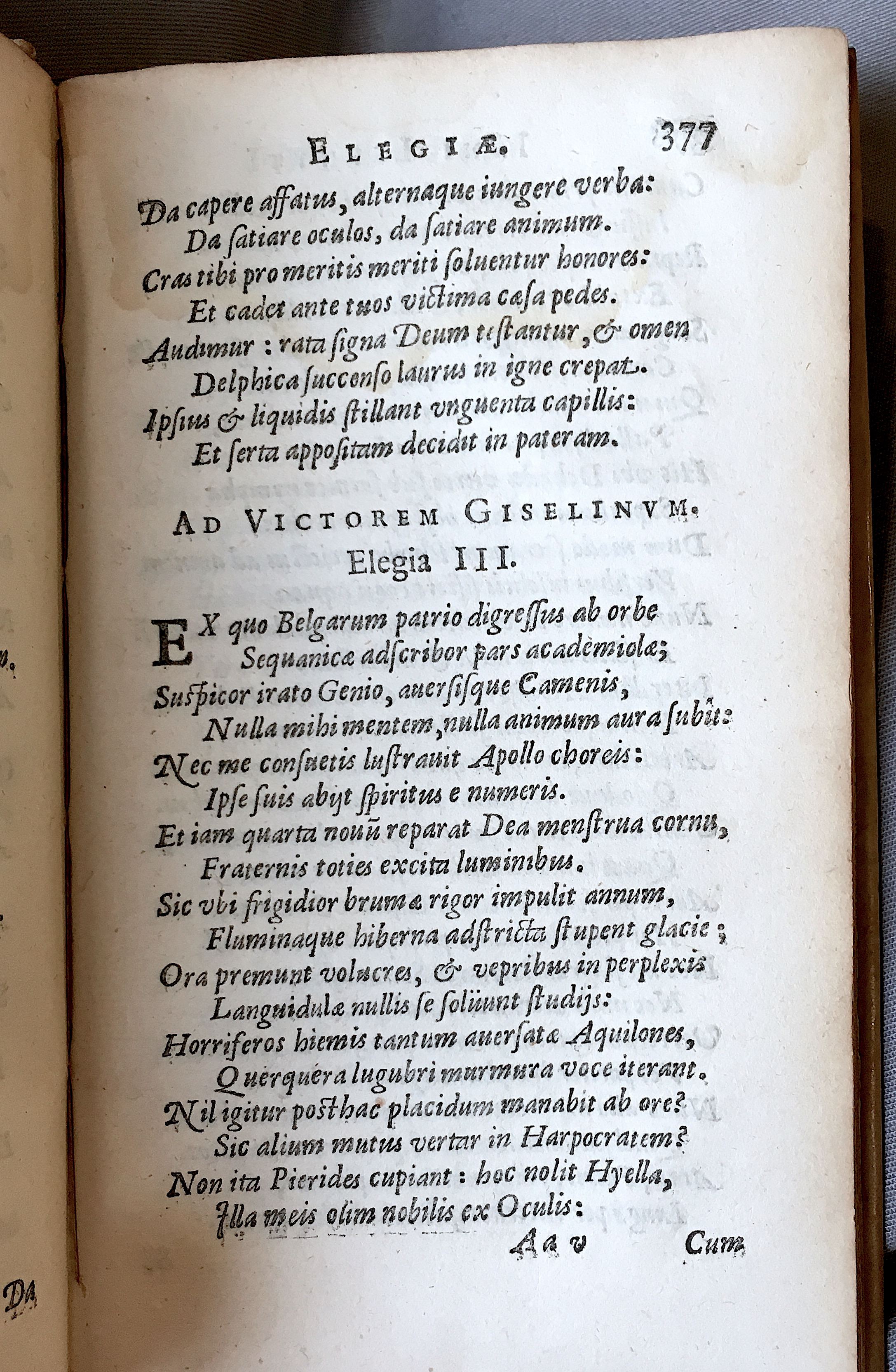 Lernutius1614p377