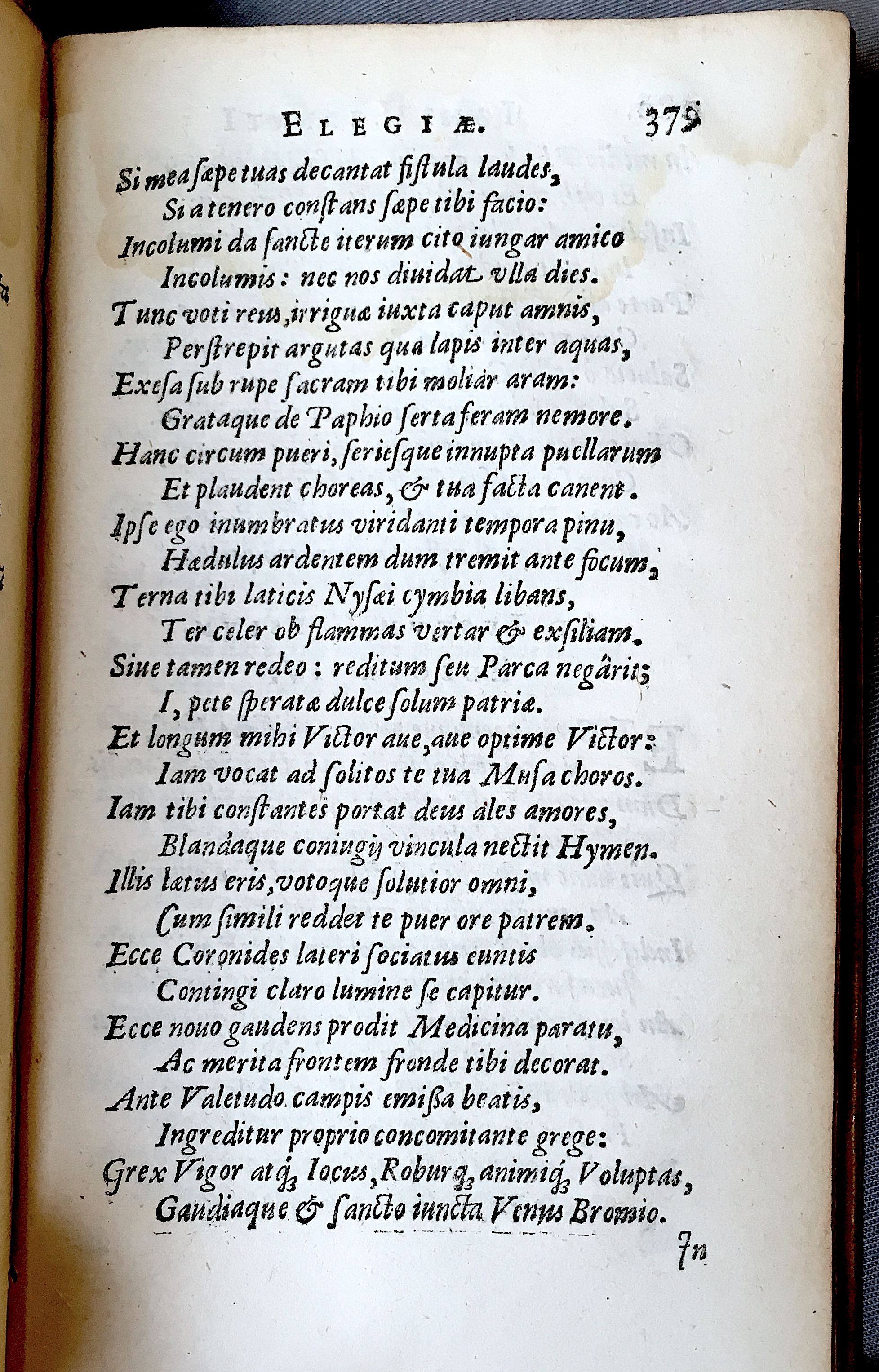 Lernutius1614p379