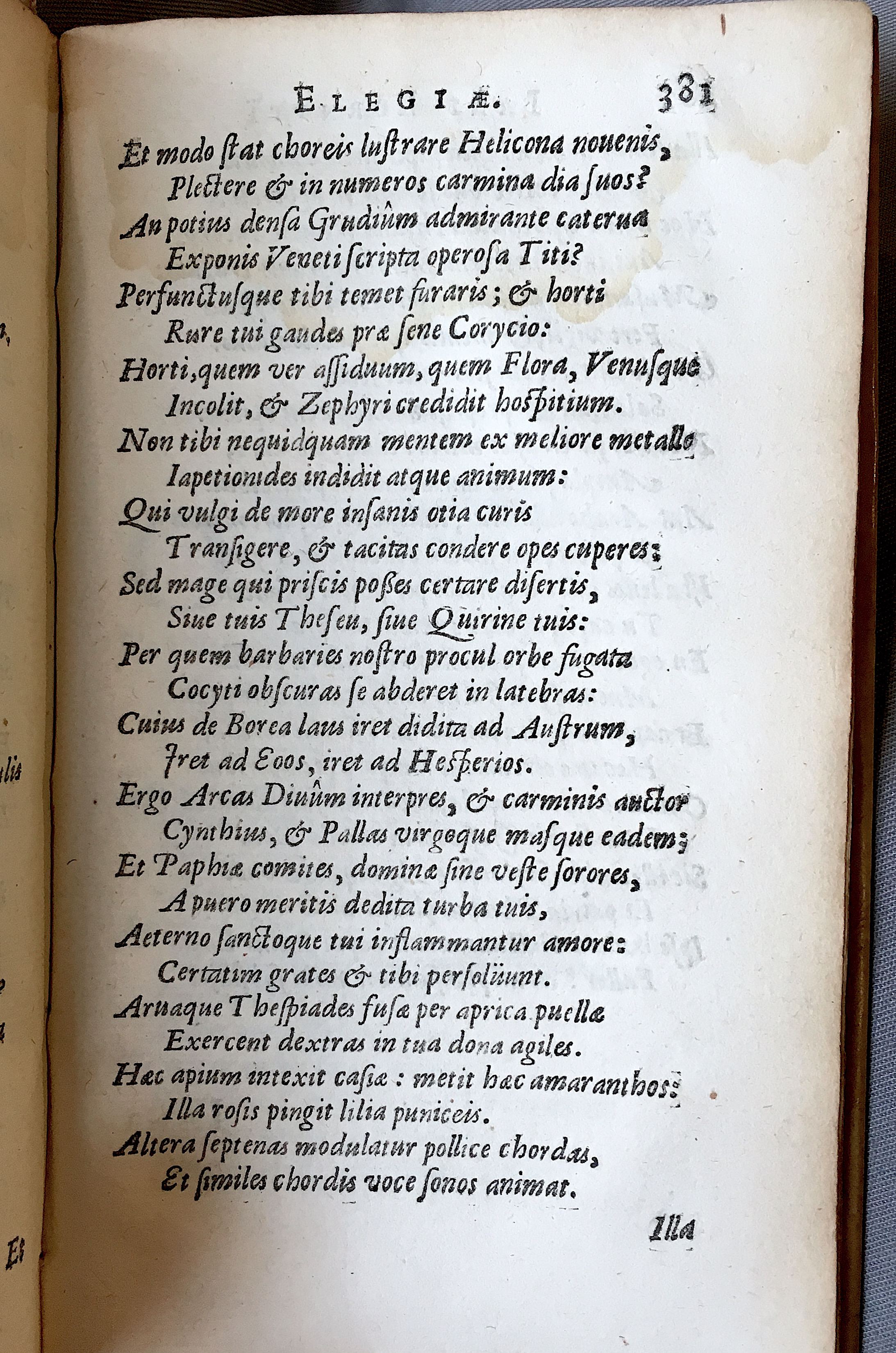 Lernutius1614p381