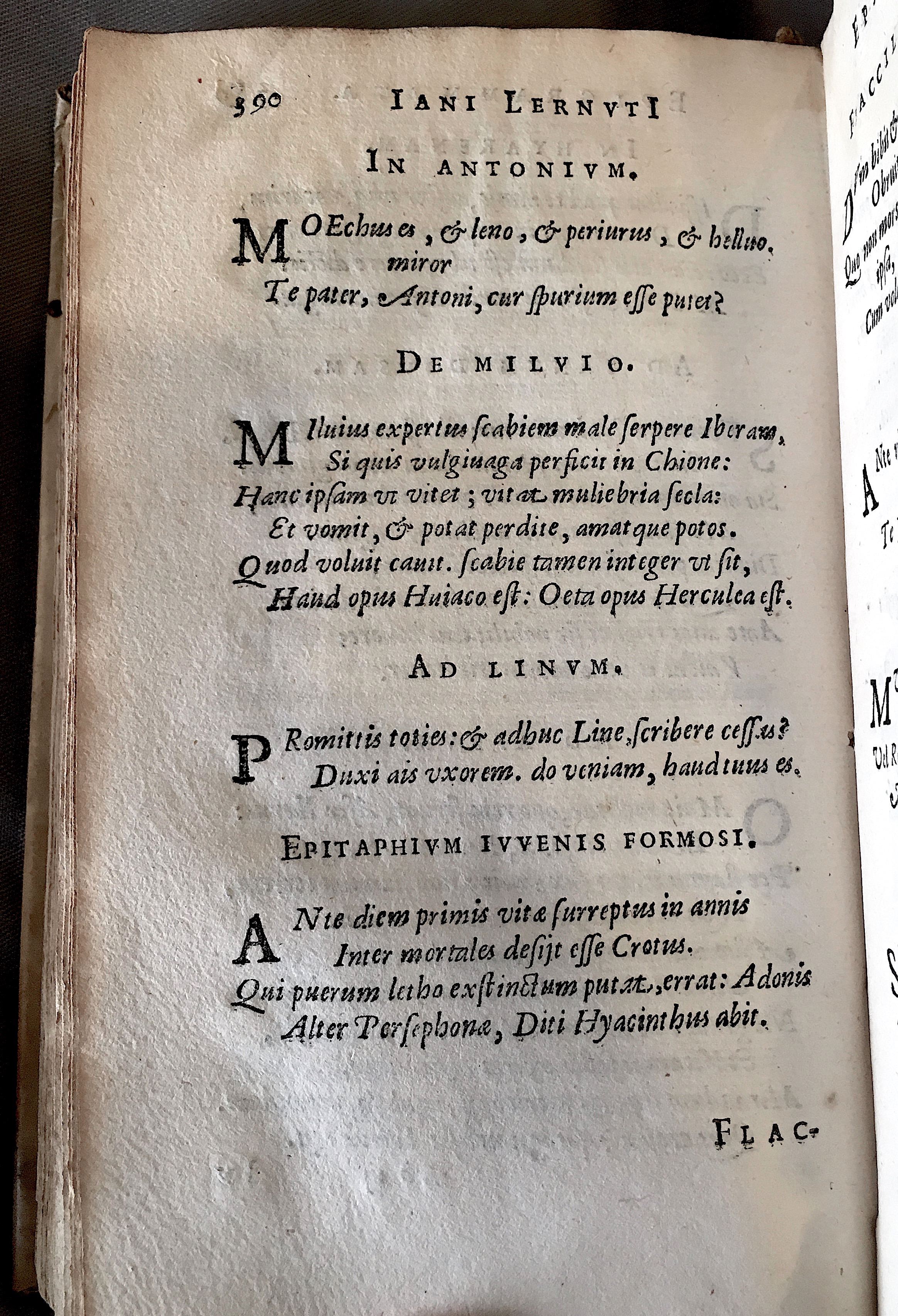 Lernutius1614p390