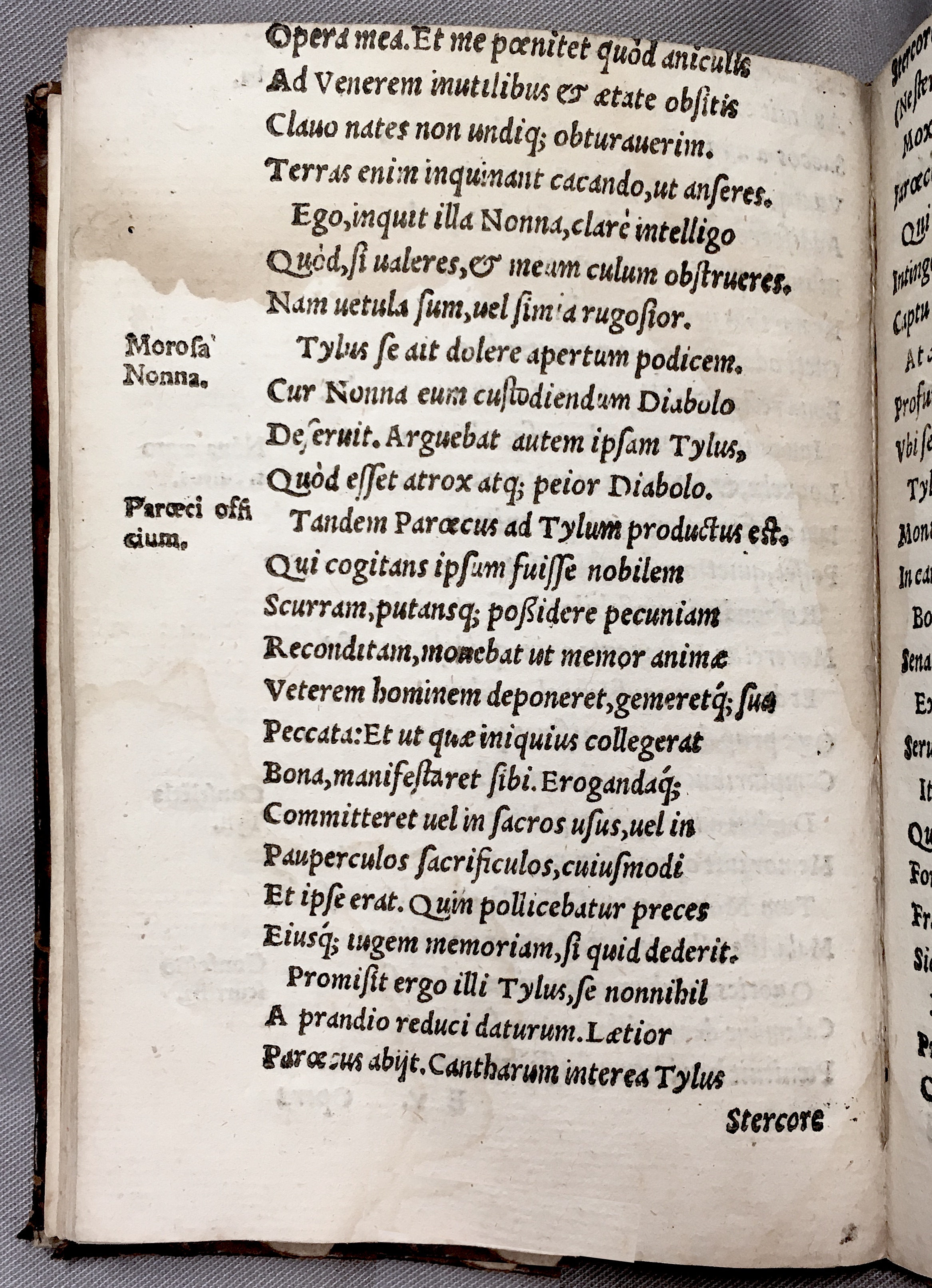 NemiusTylus1558p74