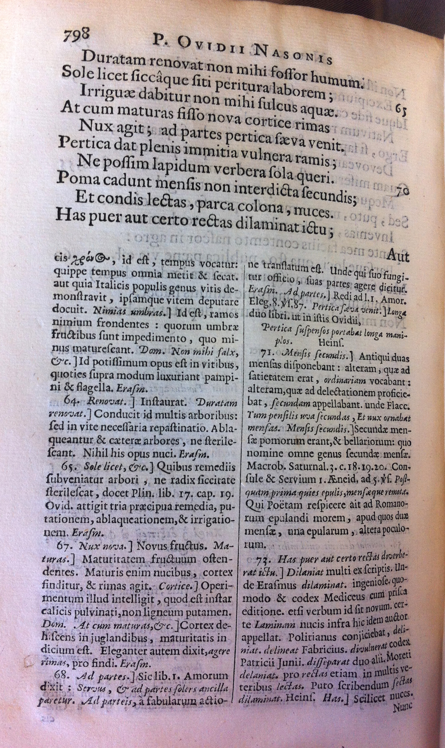 ovidius1670nux08.jpg